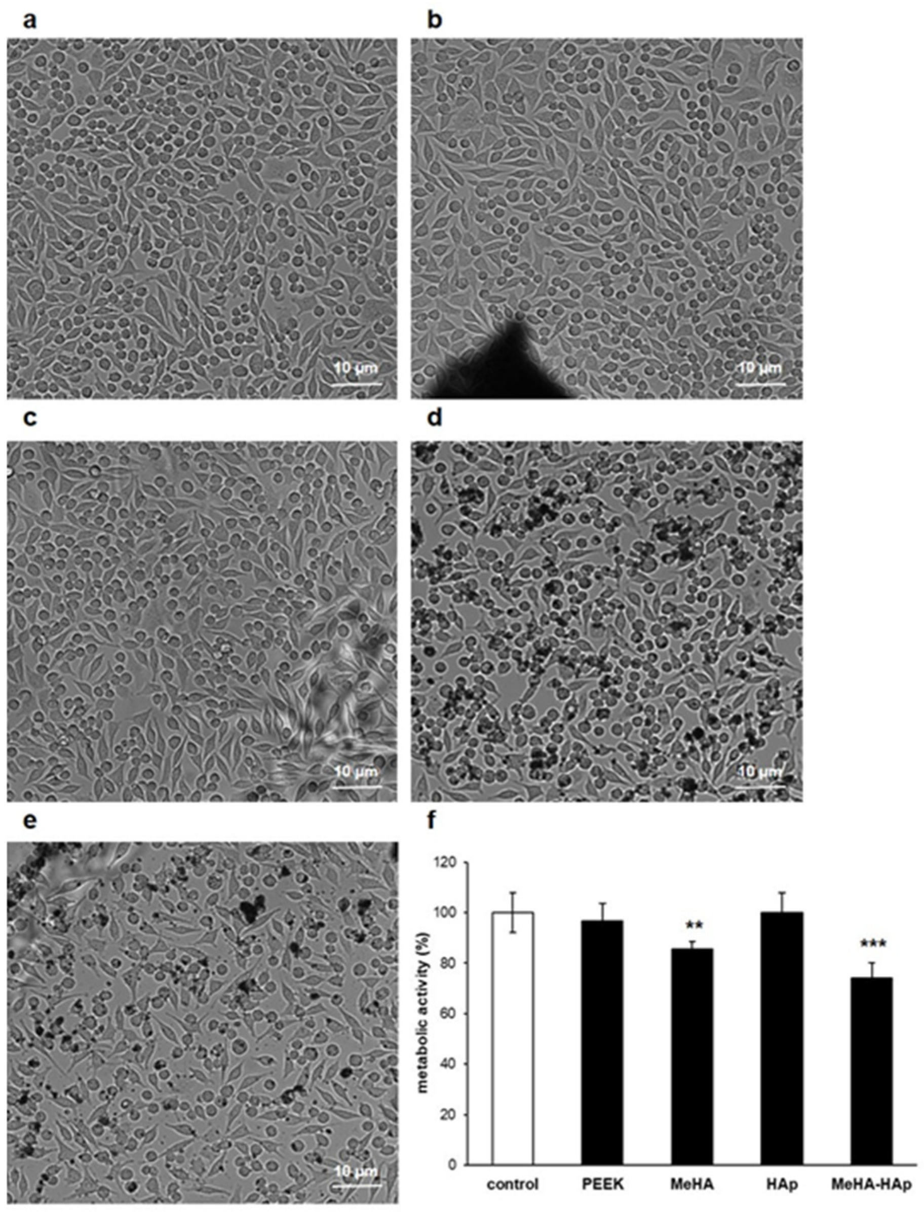 Molecules 27 08749 g005 Molecules 27 08749 g005