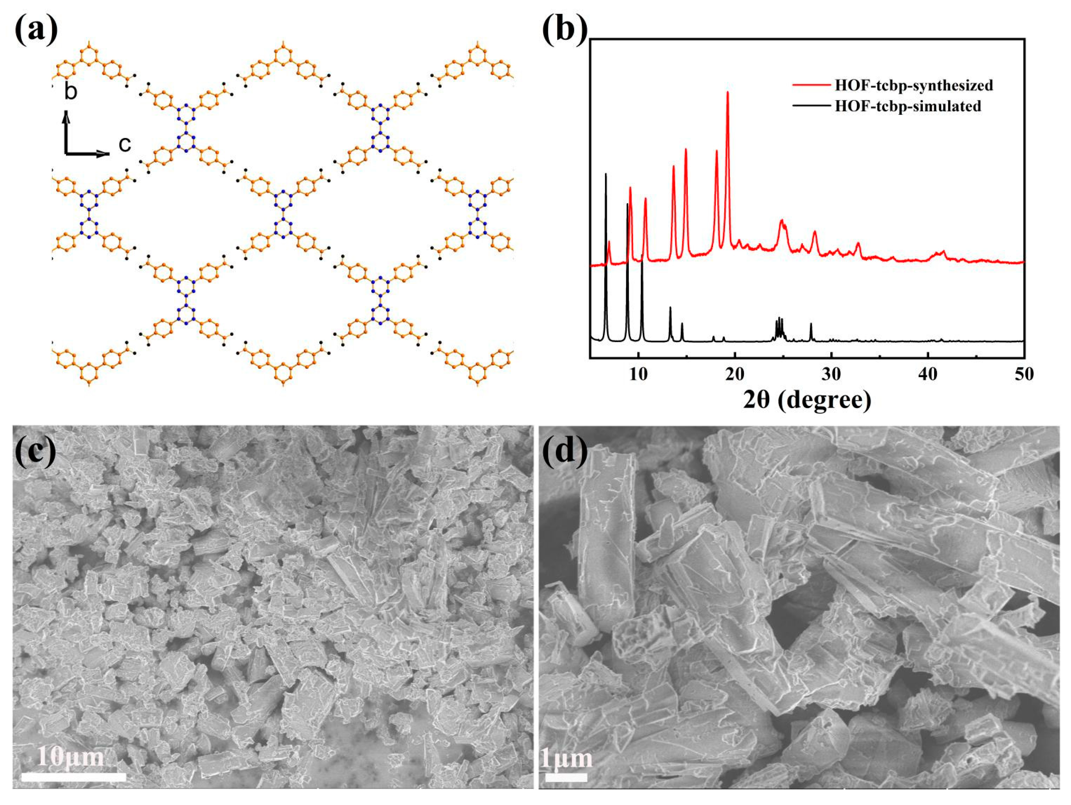 Molecules 27 08750 g001 Molecules 27 08750 g001