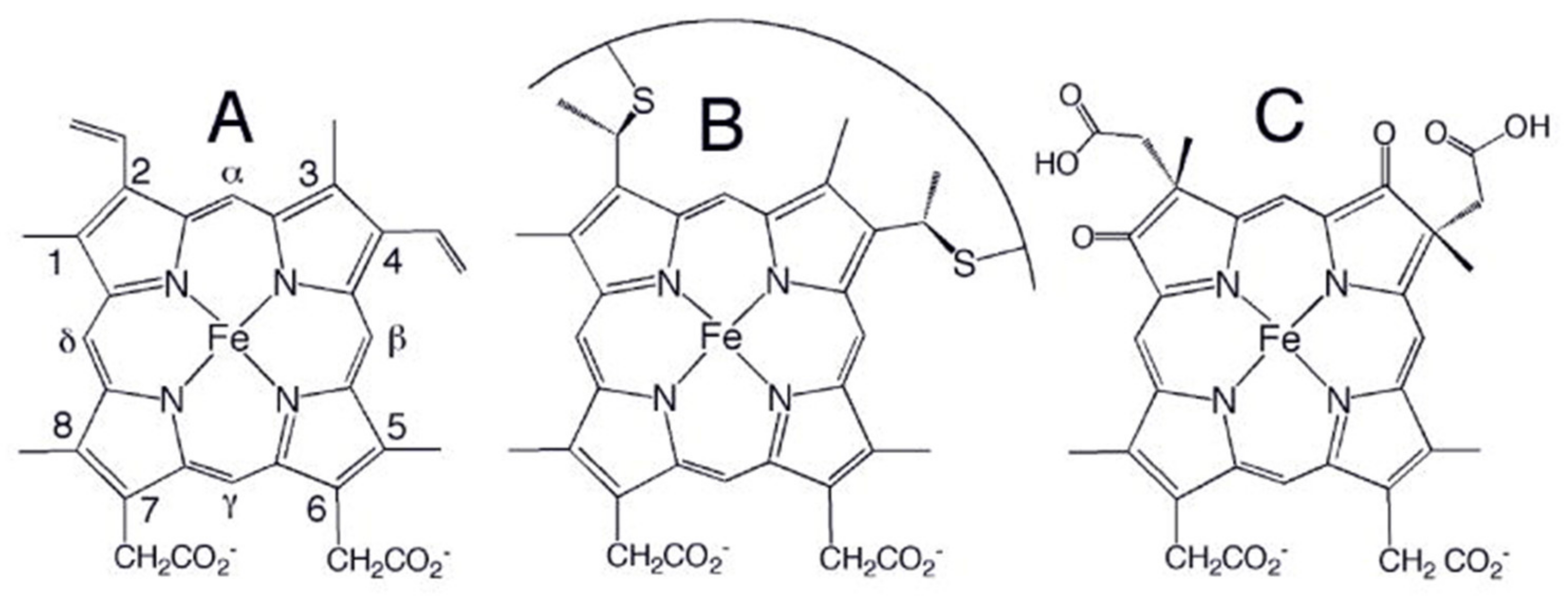 Molecules 27 08751 g001