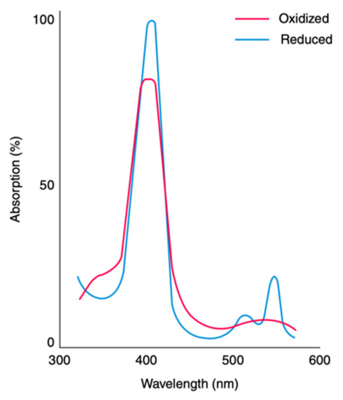 Molecules 27 08751 g005