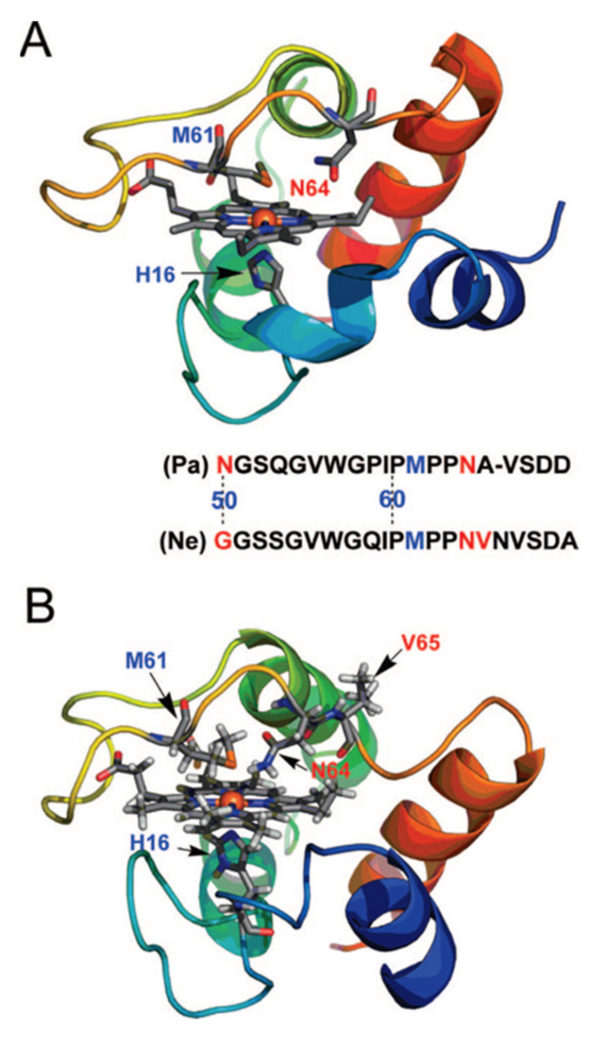 Molecules 27 08751 g007