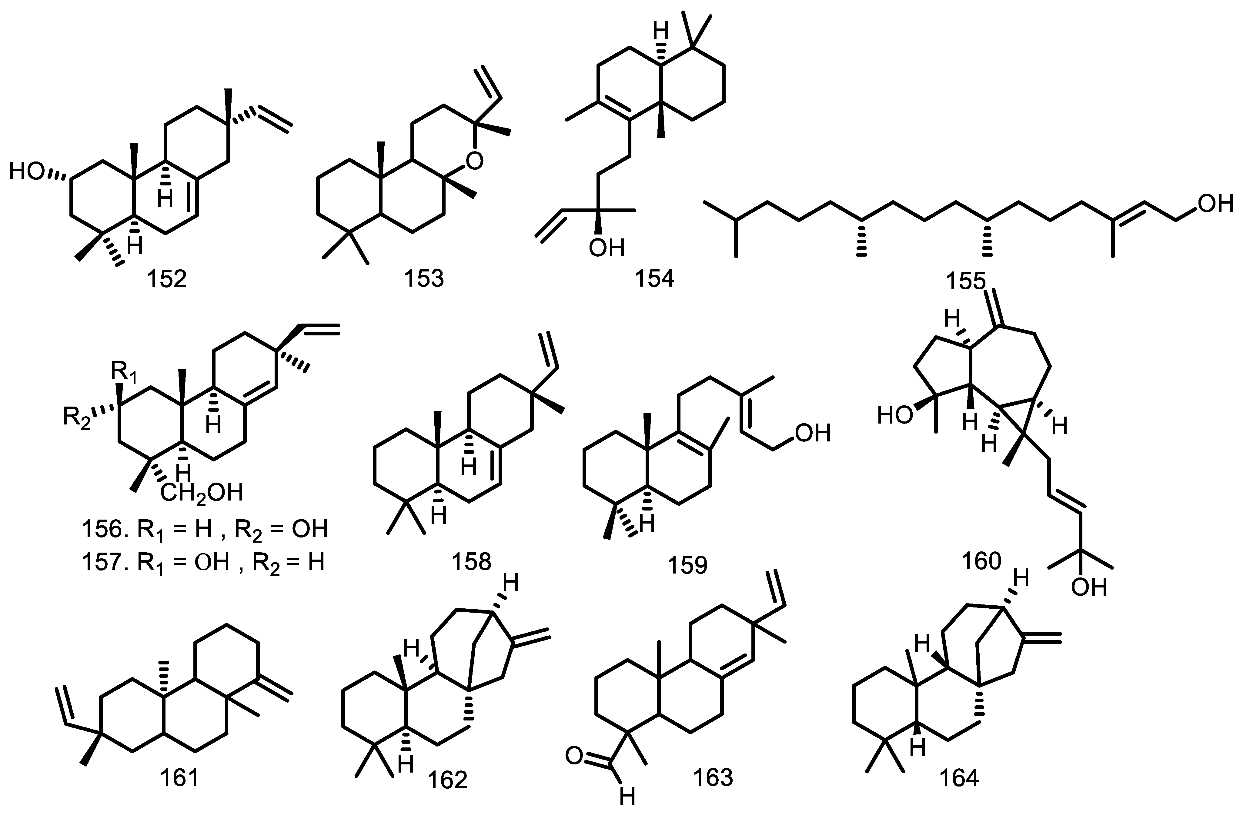 Molecules 27 08758 g004b Molecules 27 08758 g004b