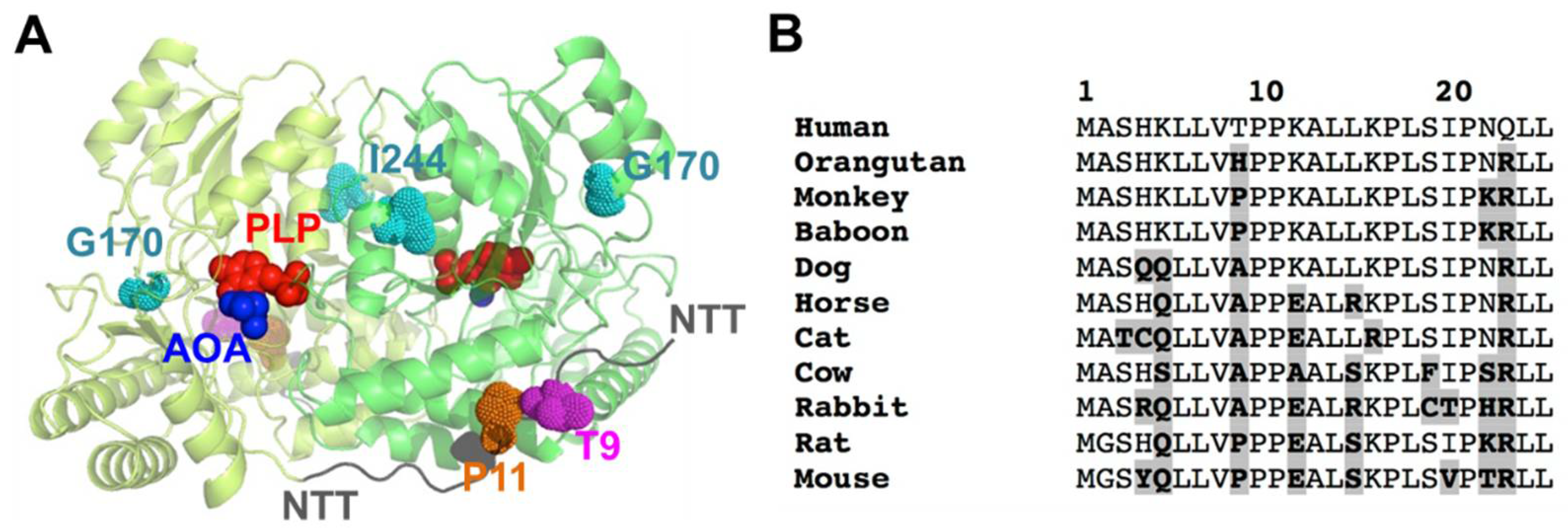 Molecules 27 08762 g001 Molecules 27 08762 g001