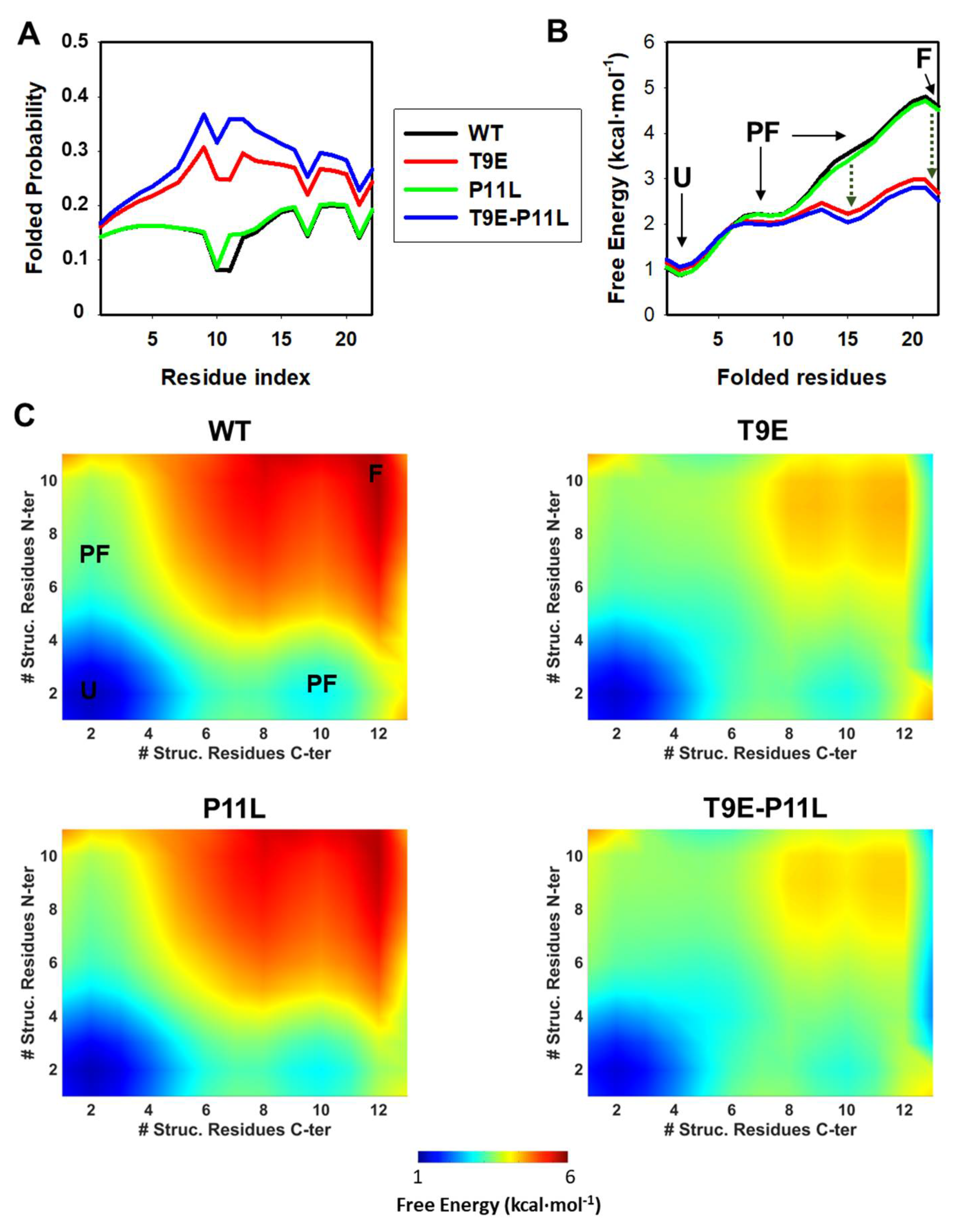 Molecules 27 08762 g004 Molecules 27 08762 g004