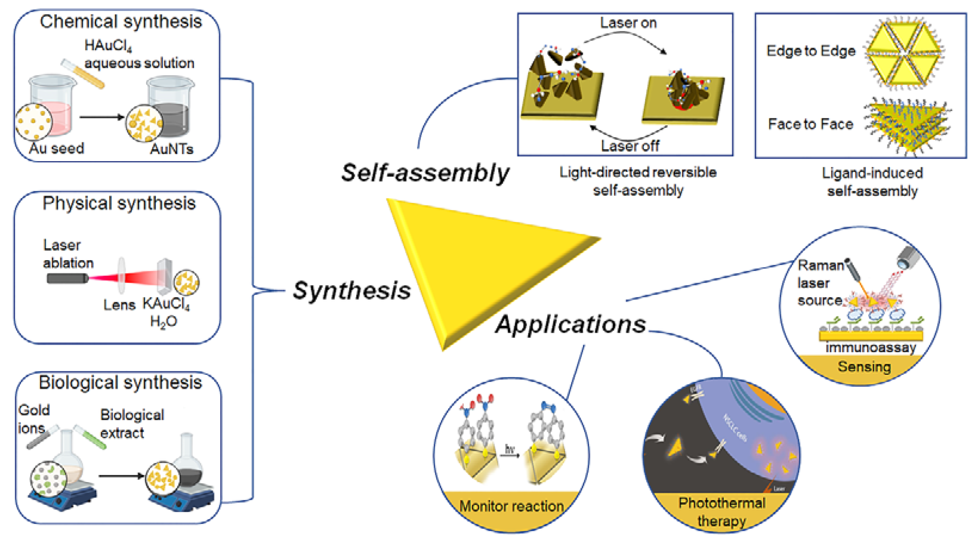 Molecules 27 08766 g001