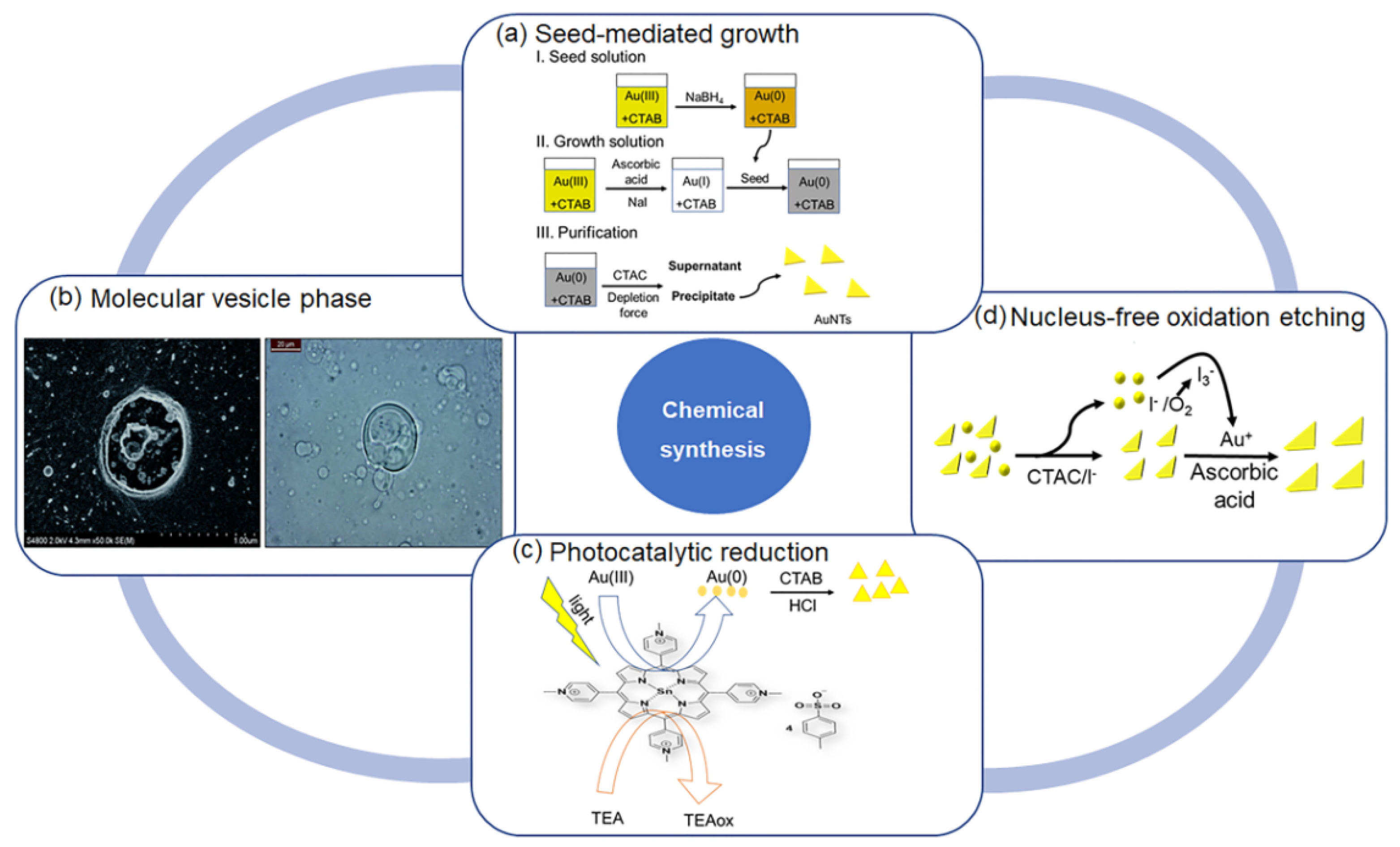 Molecules 27 08766 g002