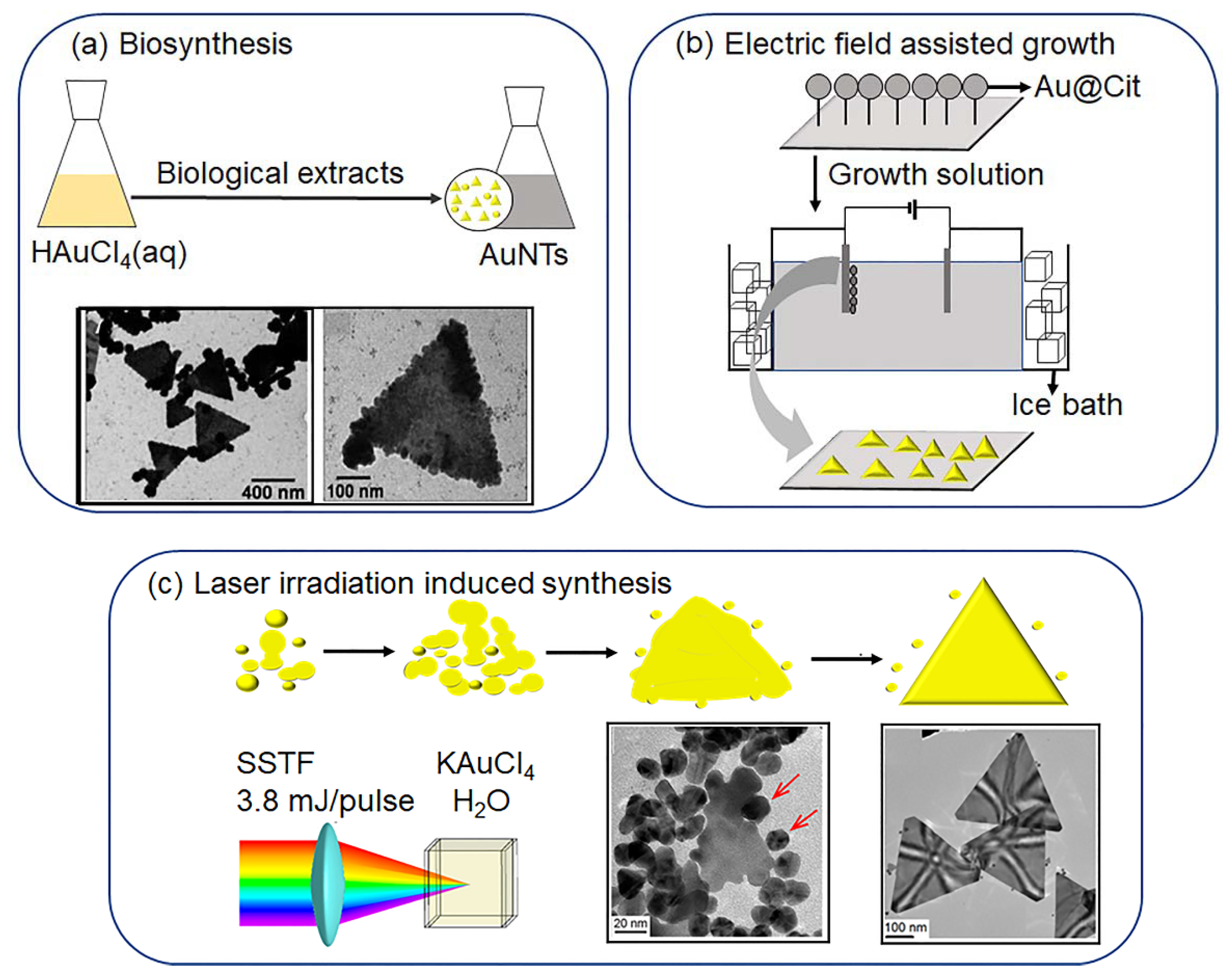 Molecules 27 08766 g003
