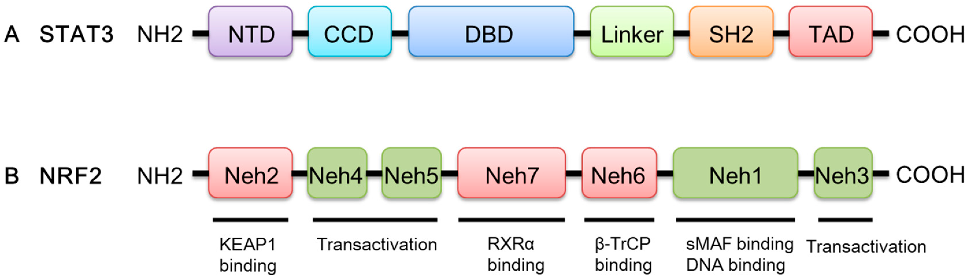 Molecules 27 08768 g001 Molecules 27 08768 g001