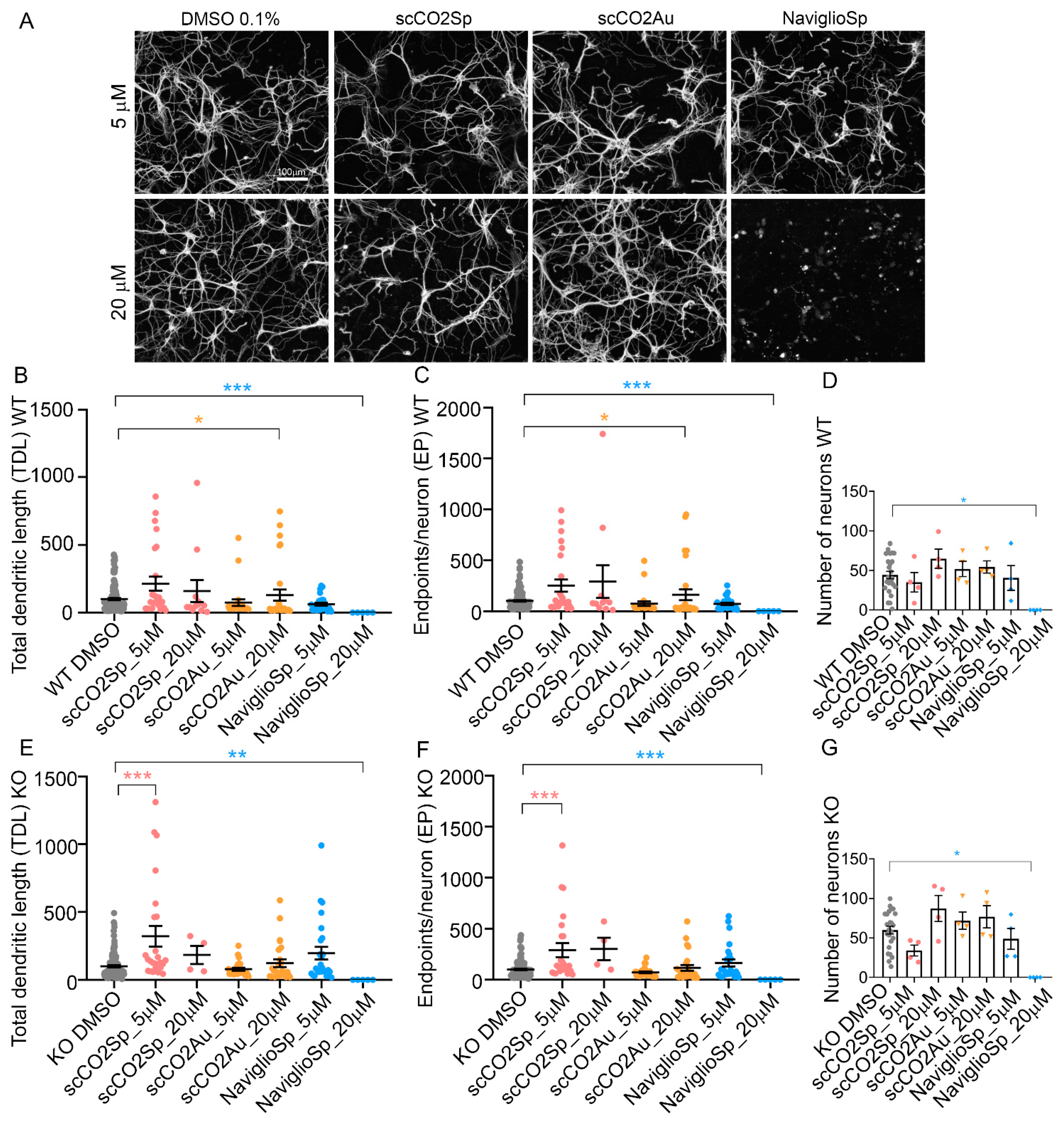 Molecules 27 08772 g005 Molecules 27 08772 g005
