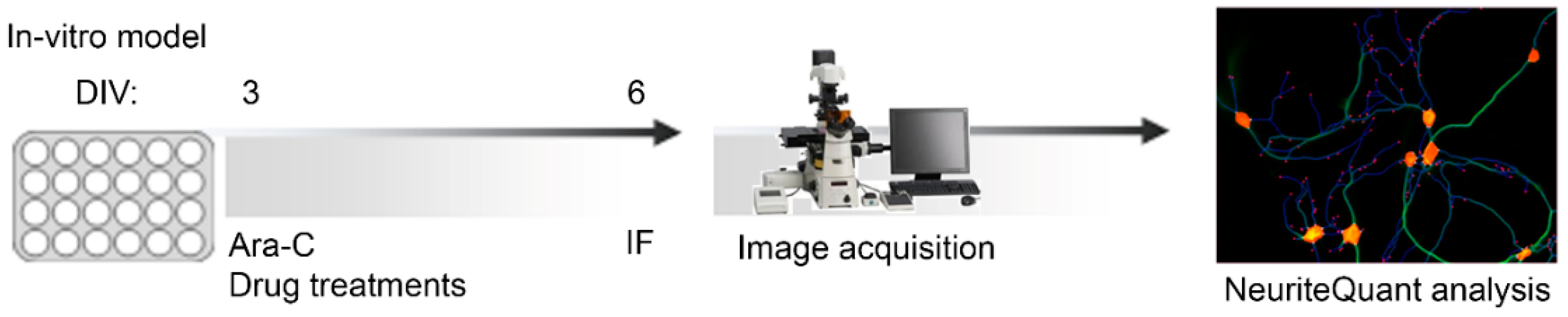 Molecules 27 08772 g007 Molecules 27 08772 g007