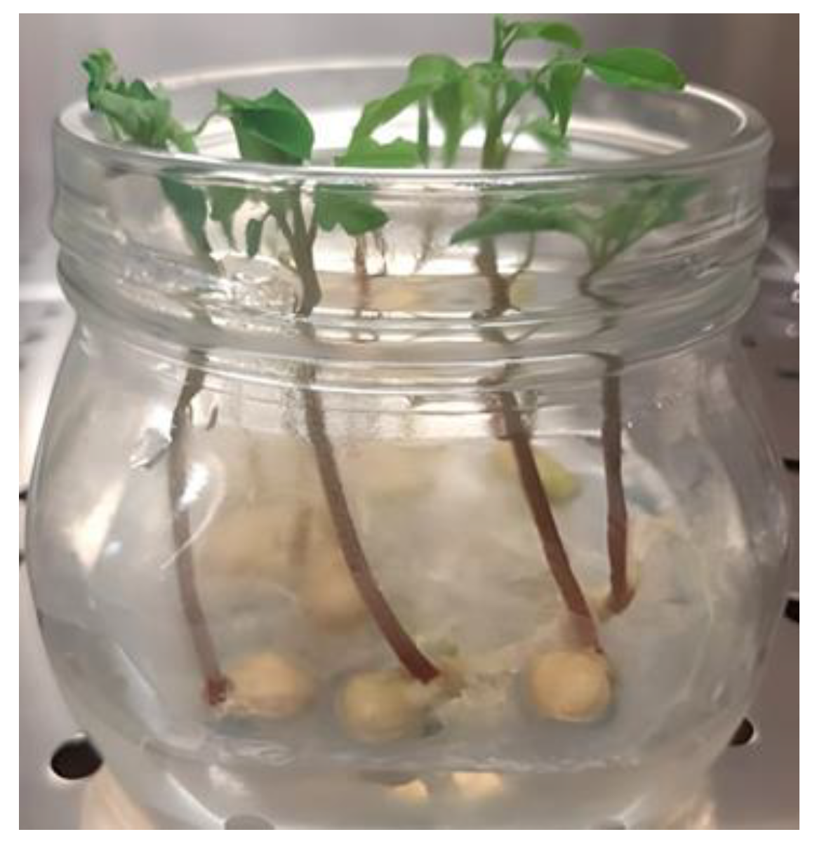 Molecules 27 08774 g003