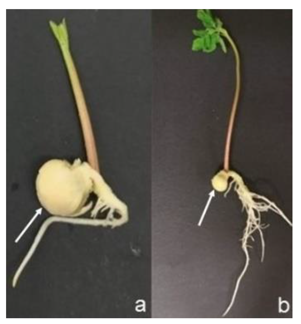 Molecules 27 08774 g006