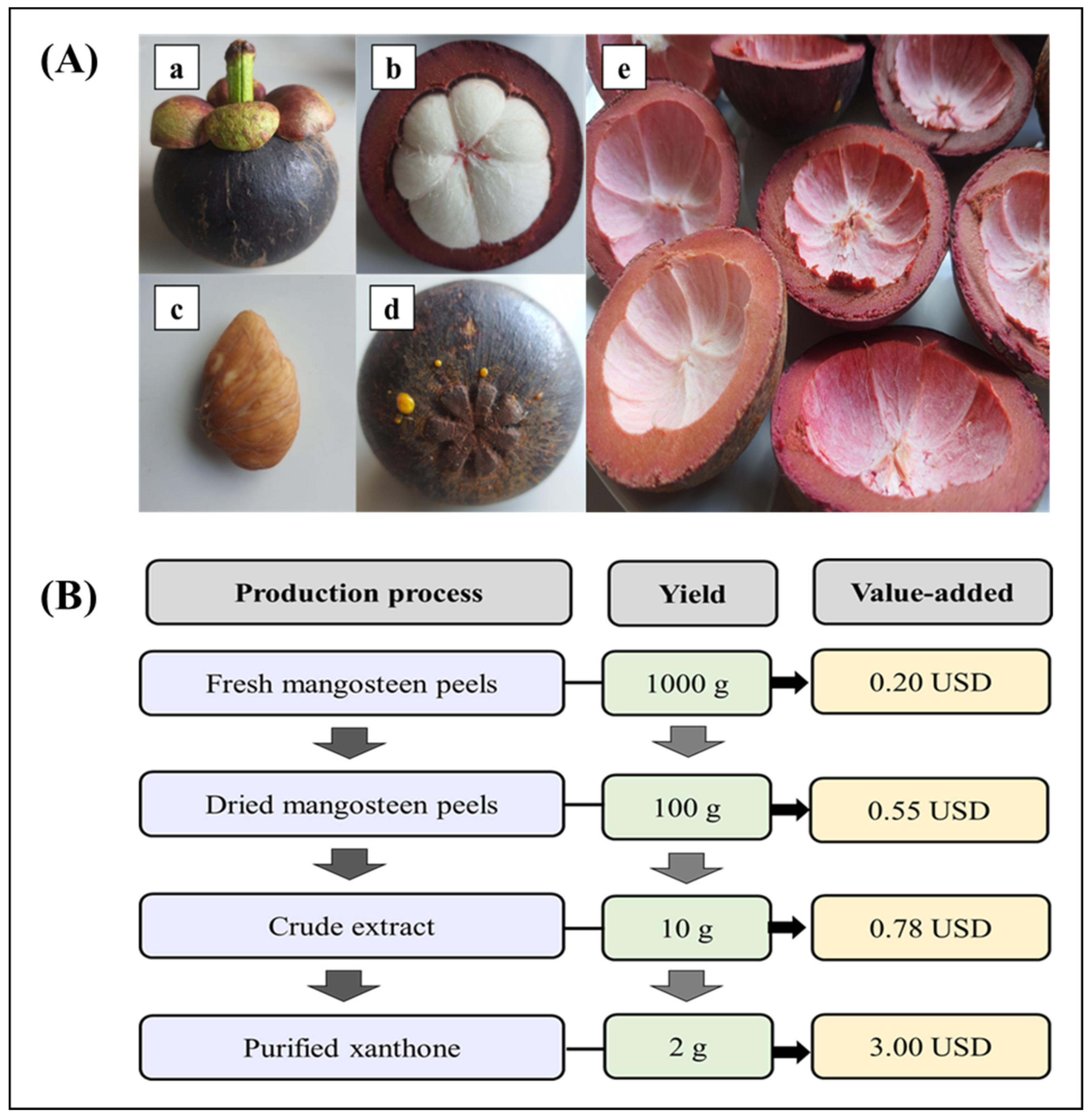 Molecules | Free Full-Text | A Review of the Influence of Various  Extraction Techniques and the Biological Effects of the Xanthones from  Mangosteen (Garcinia mangostana L.) Pericarps