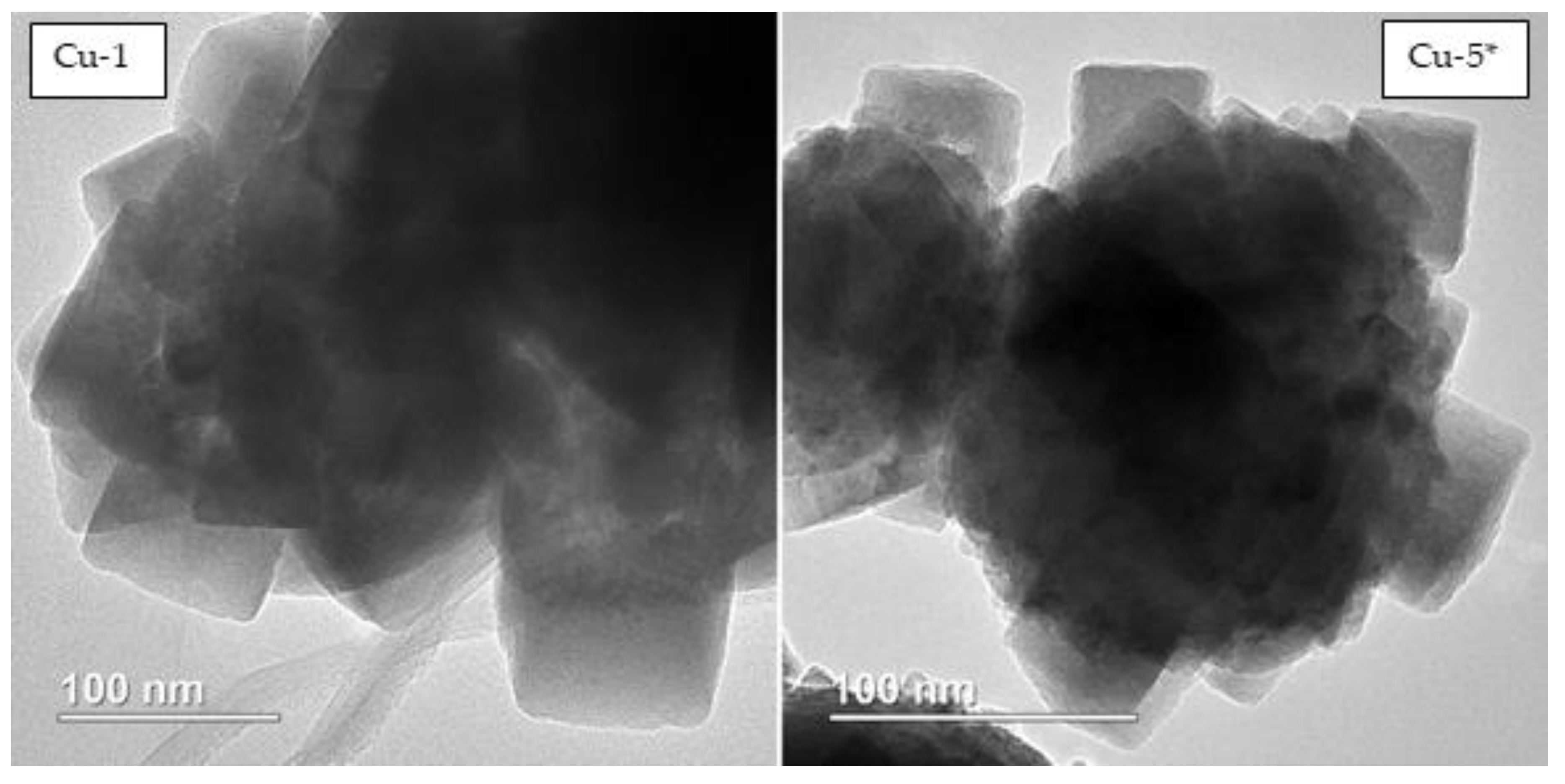 Molecules 27 08778 g010 Molecules 27 08778 g010
