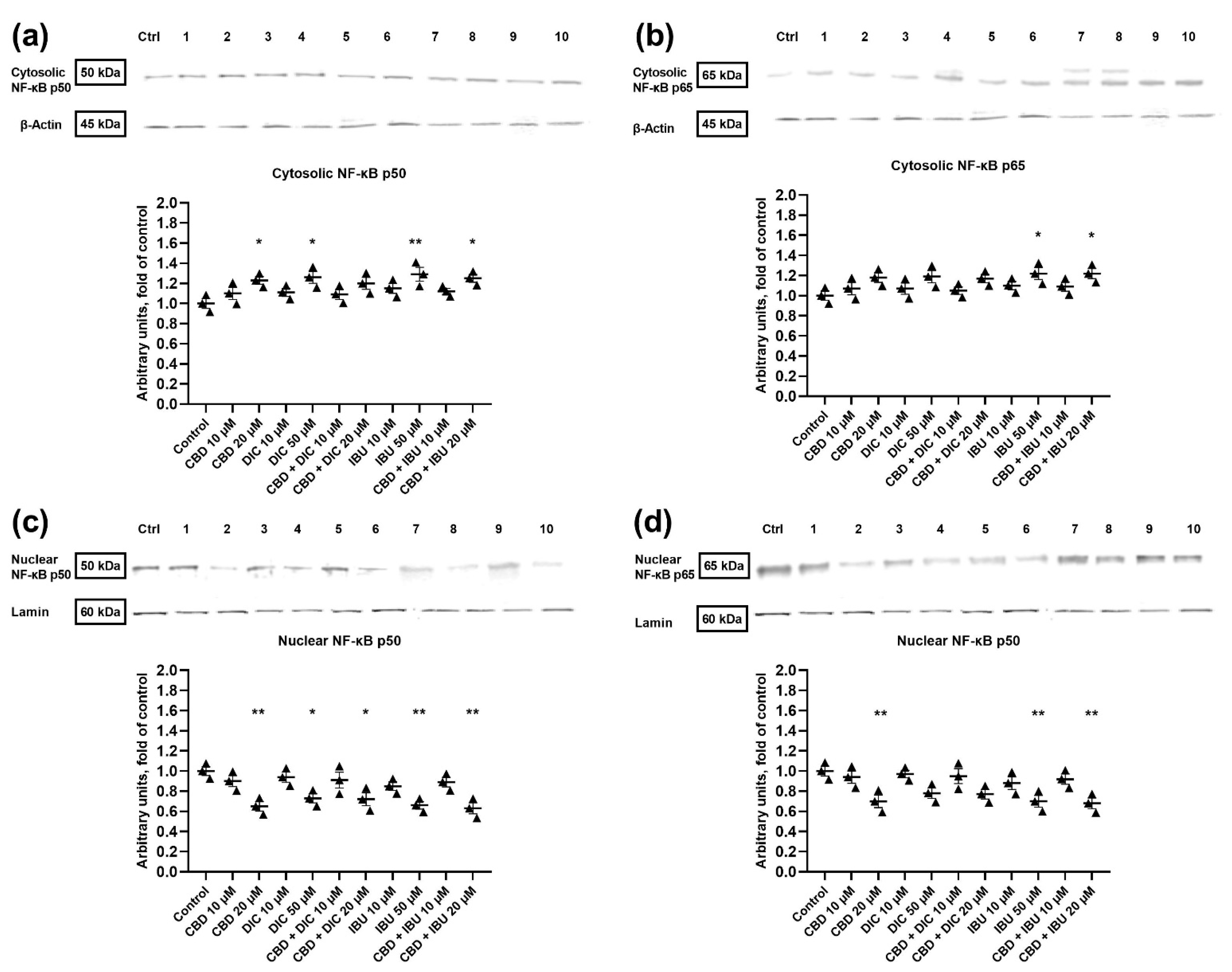 Molecules 27 08779 g005