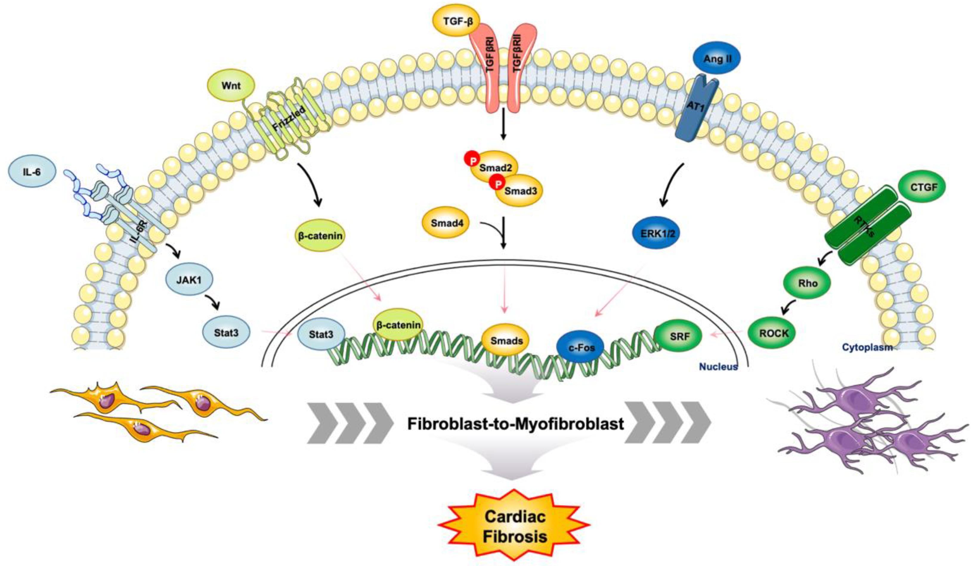 Molecules 27 08784 g003