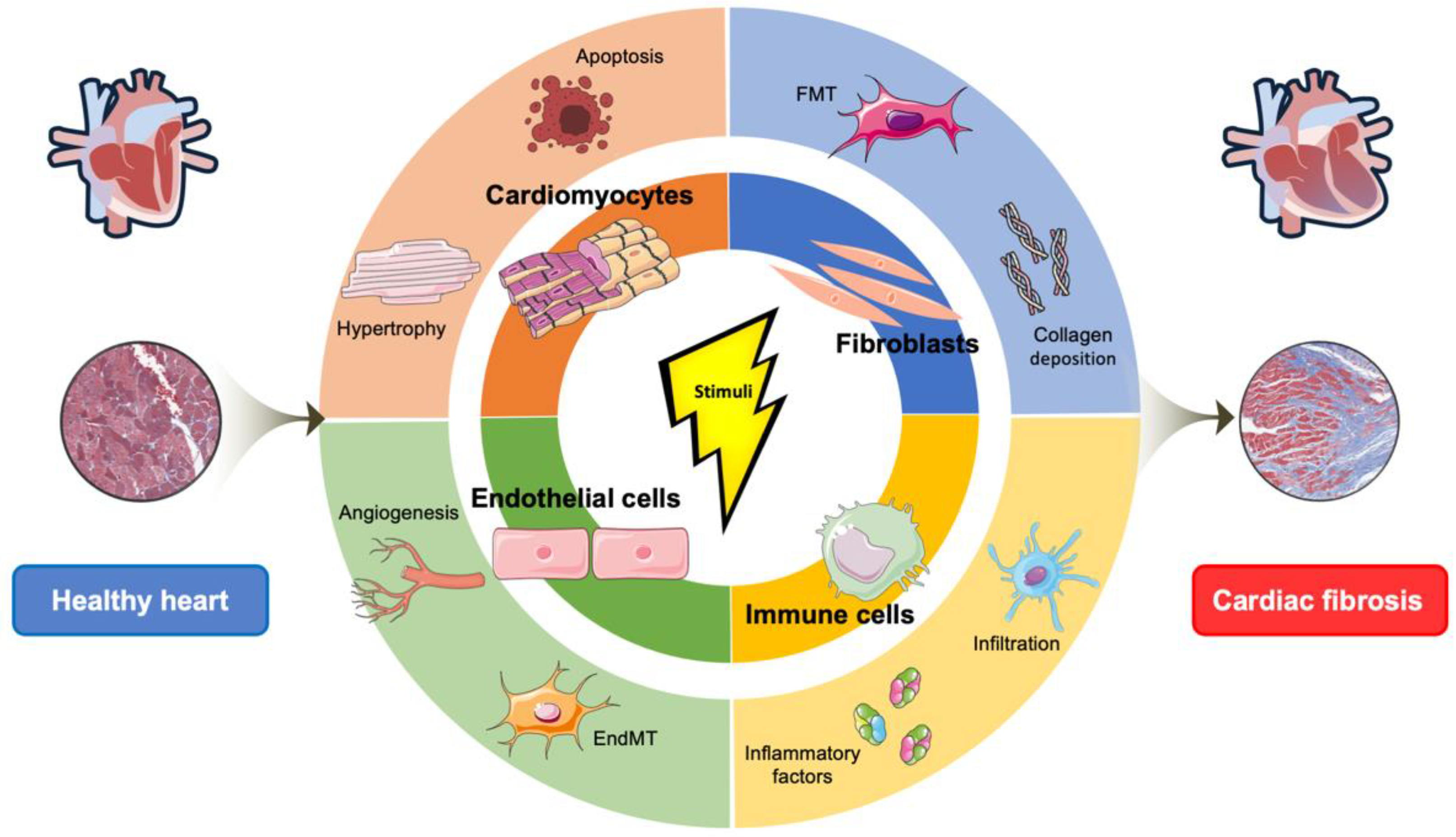 Molecules 27 08784 g004