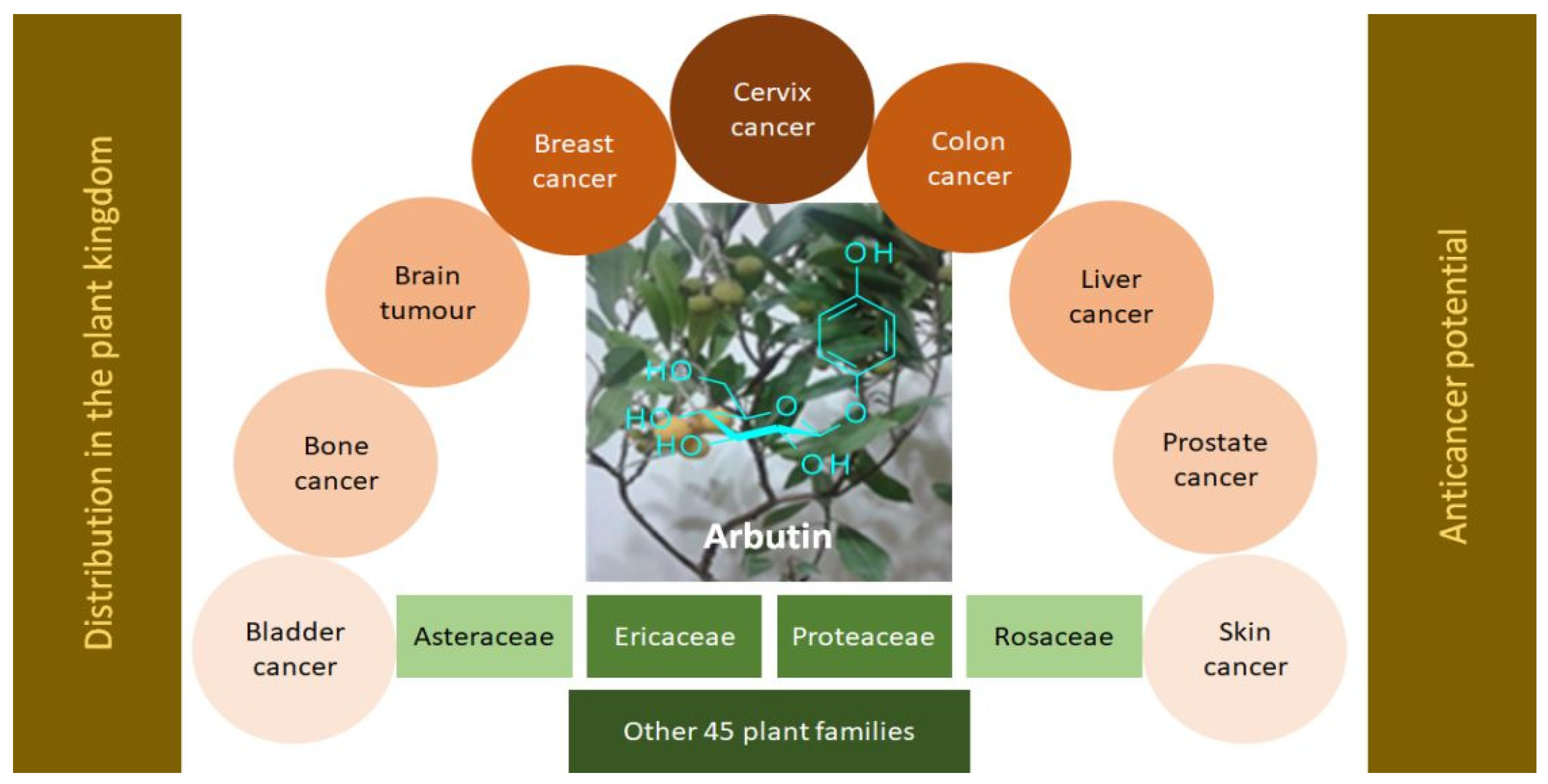 Molecules 27 08786 g002 Molecules 27 08786 g002