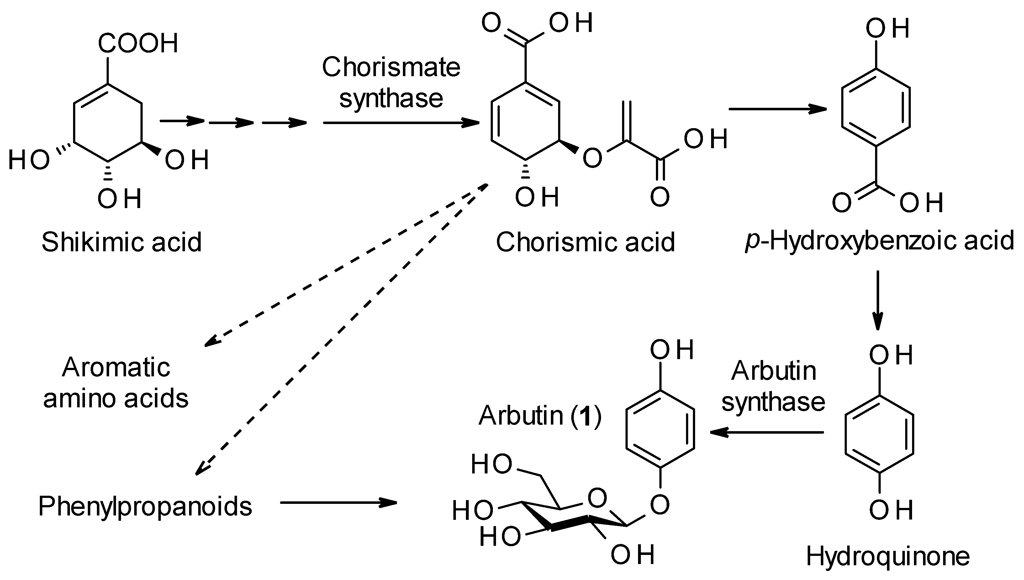 Molecules 27 08786 sch001 Molecules 27 08786 sch001