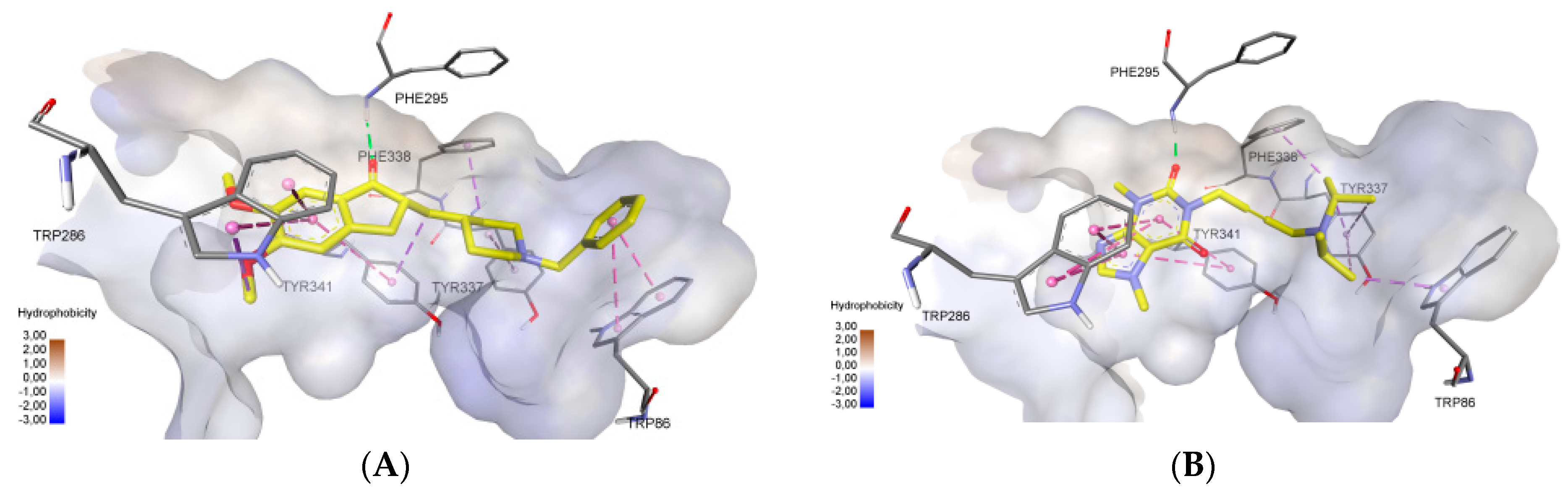 Molecules 27 08787 g004a Molecules 27 08787 g004a