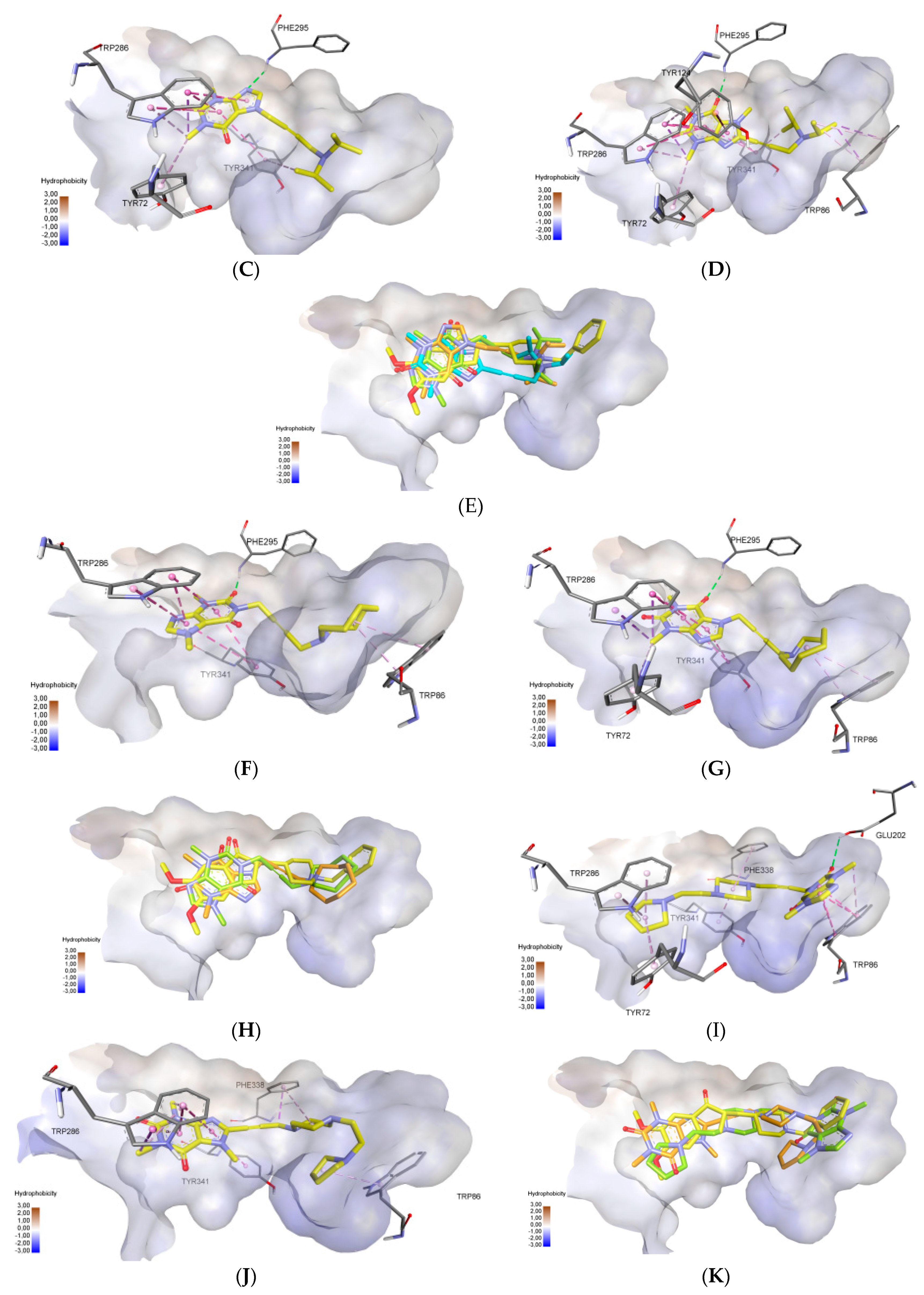 Molecules 27 08787 g004b Molecules 27 08787 g004b