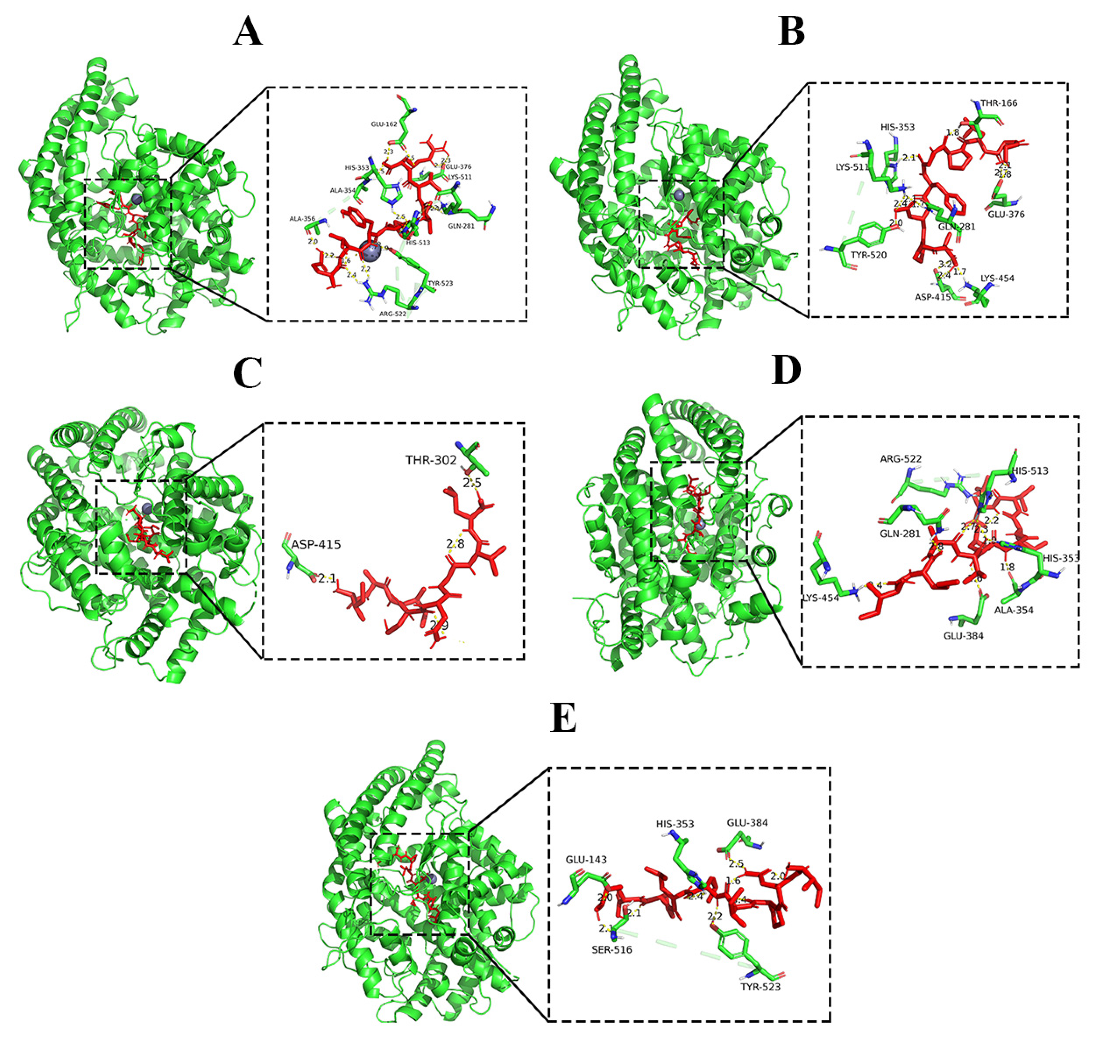 Screening and Mechanism of Novel Angiotensin-I-Converting