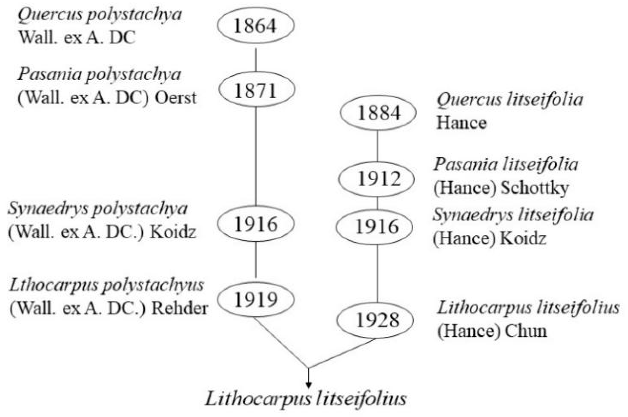 Molecules 27 08794 g001
