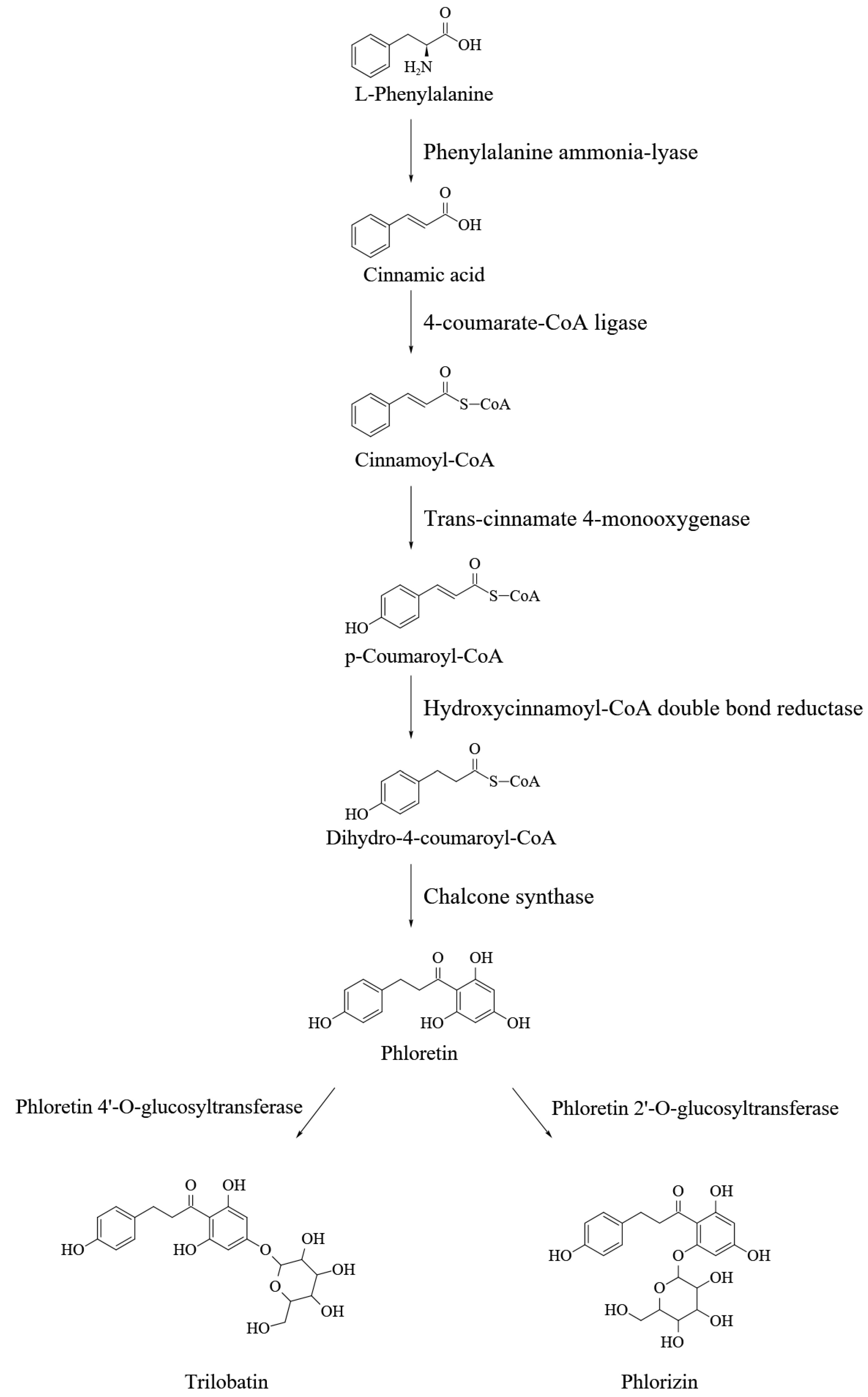 Molecules 27 08794 g002