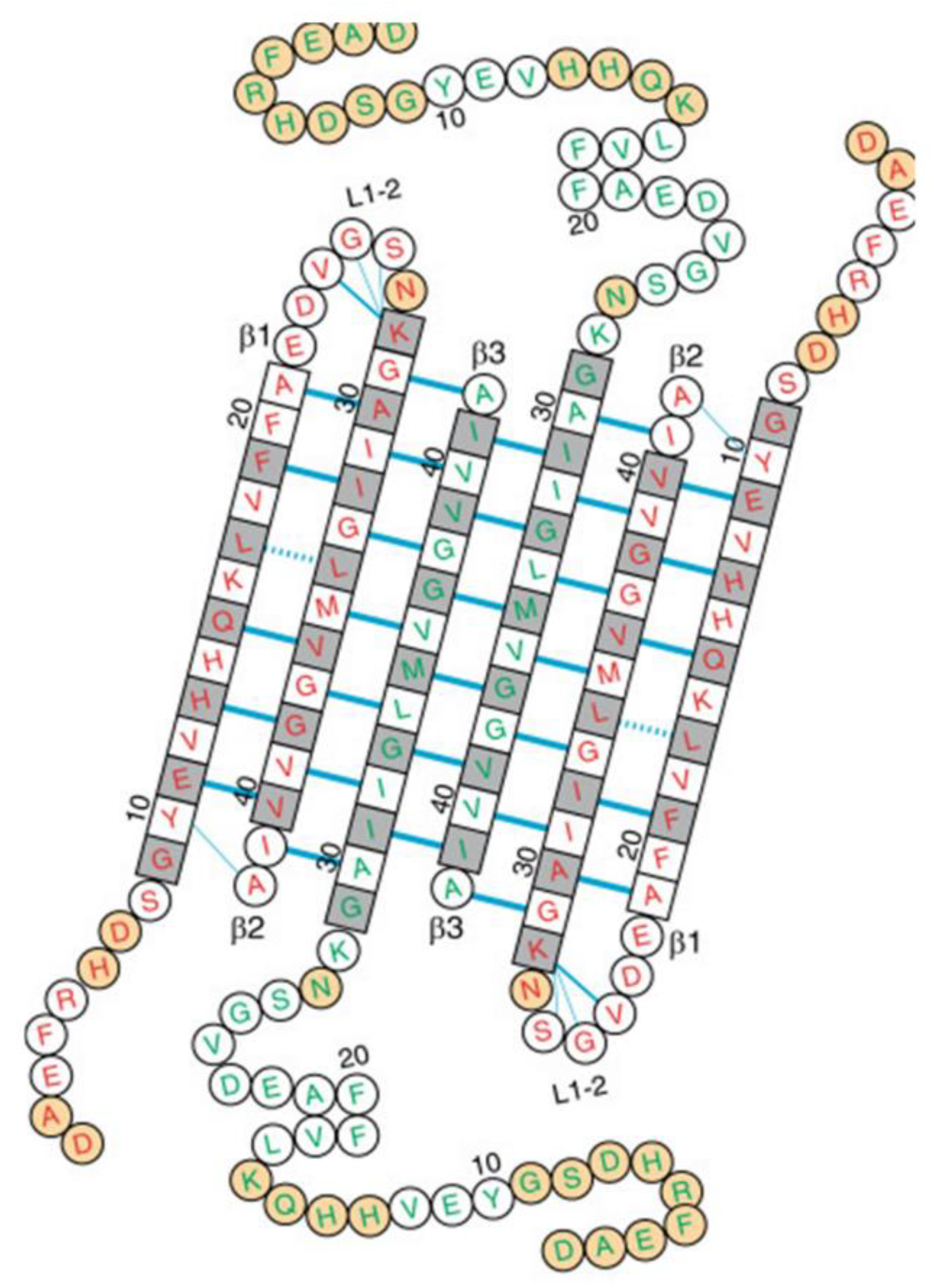 Molecules 27 08804 g005 Molecules 27 08804 g005