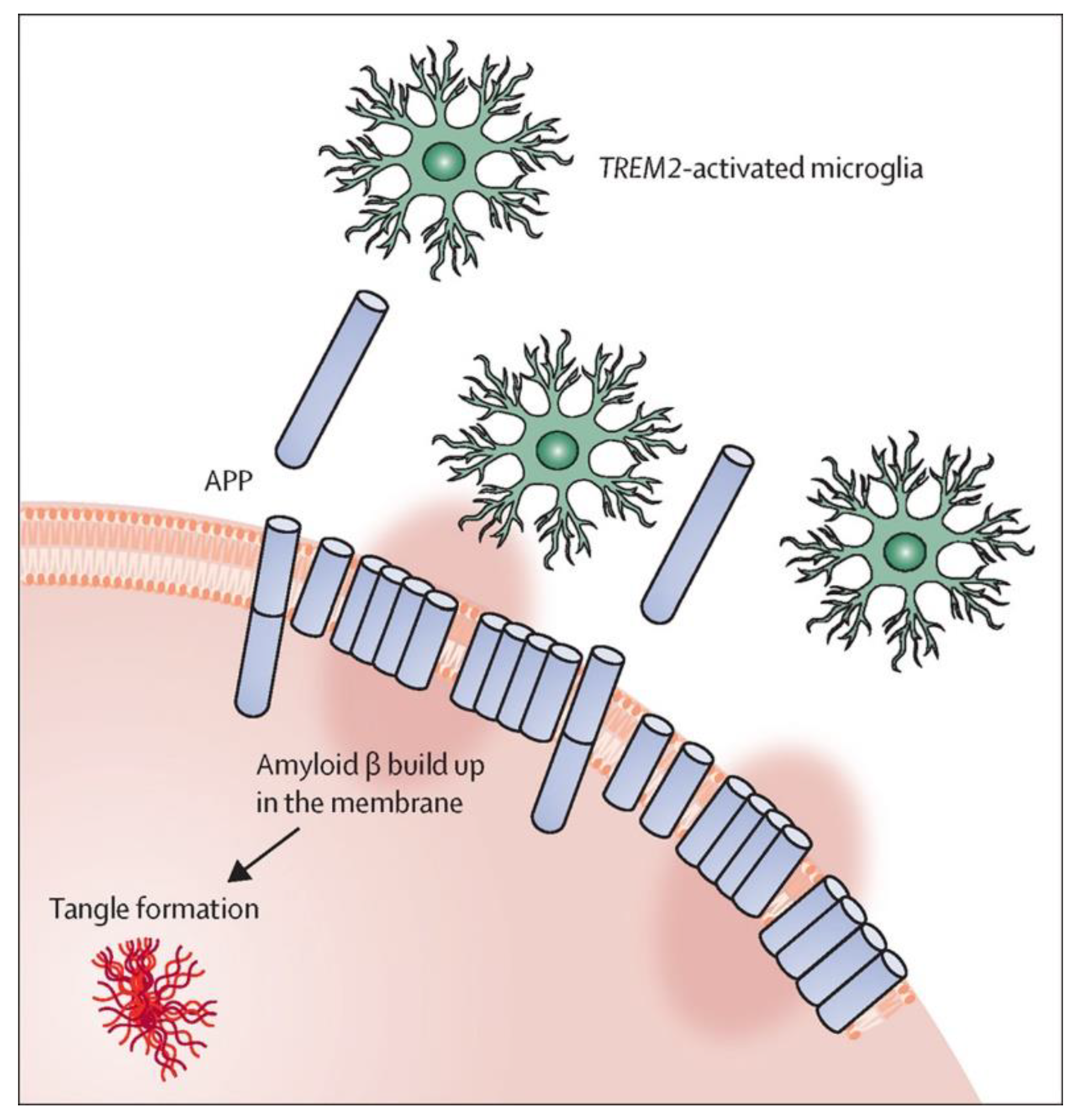 Molecules 27 08804 g006 Molecules 27 08804 g006