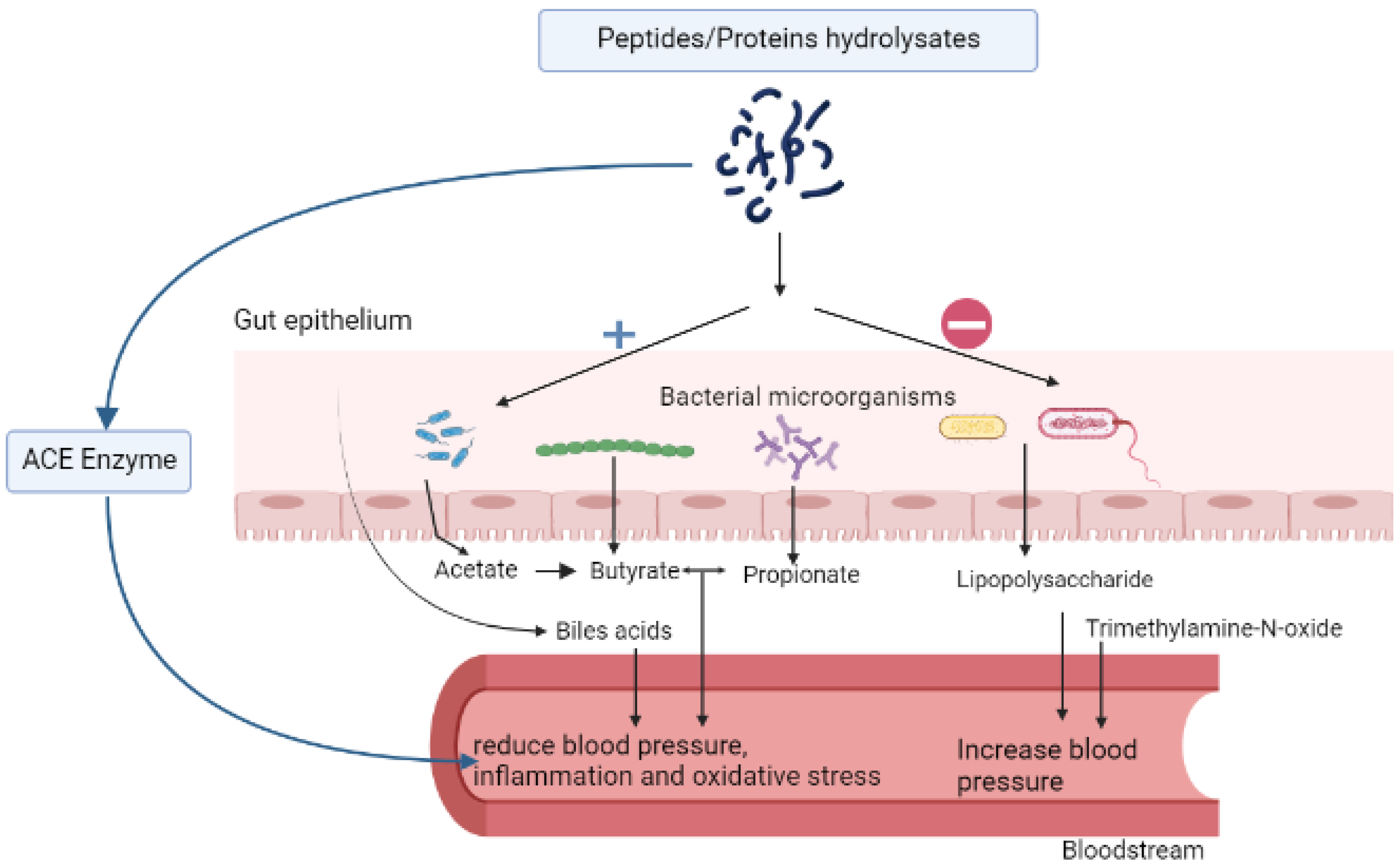 Molecules 27 08806 g001 Molecules 27 08806 g001