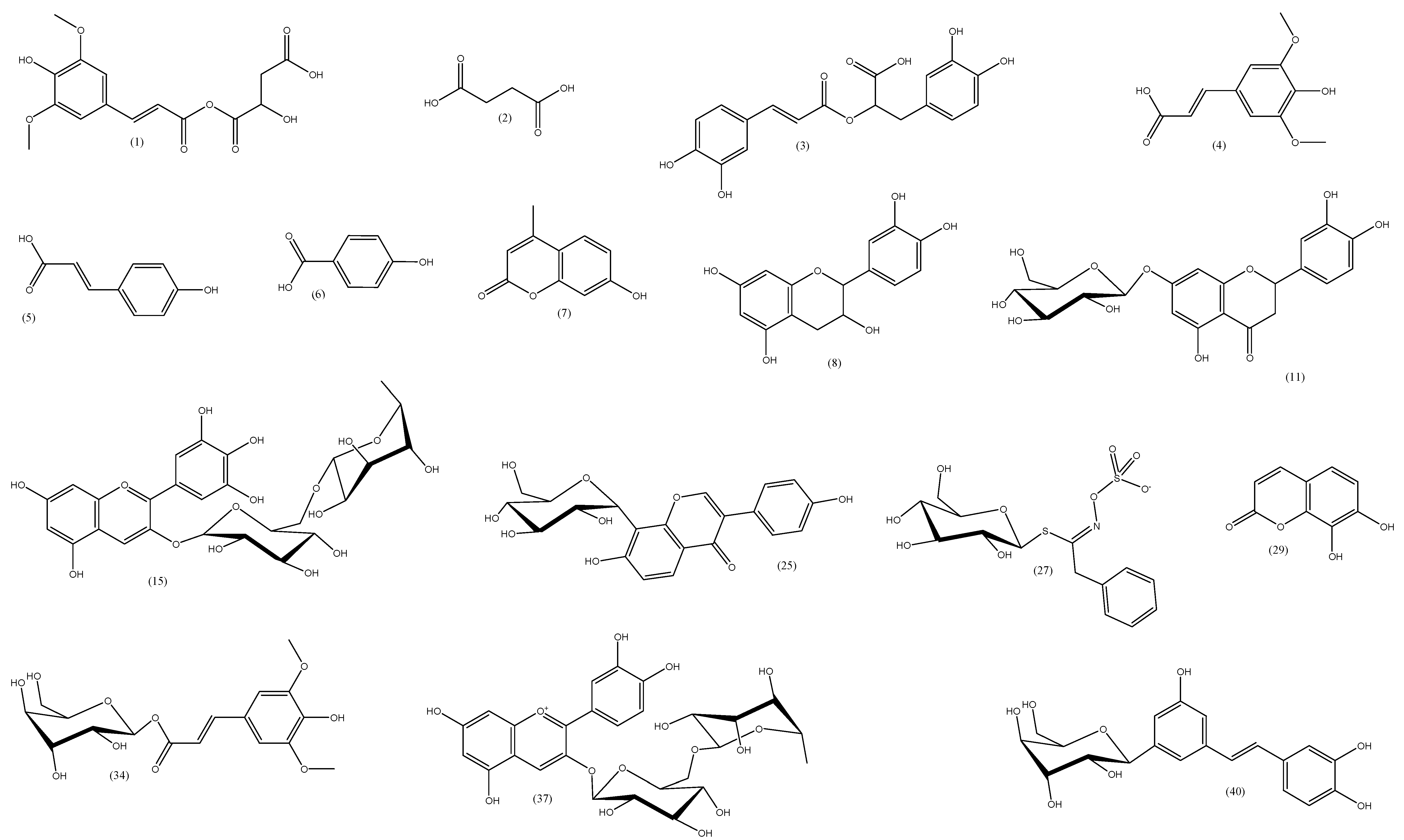 Molecules 27 08809 g001