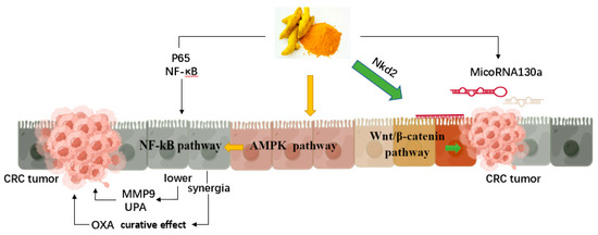 Natural Polyphenols for Treatment of Colorectal Cancer