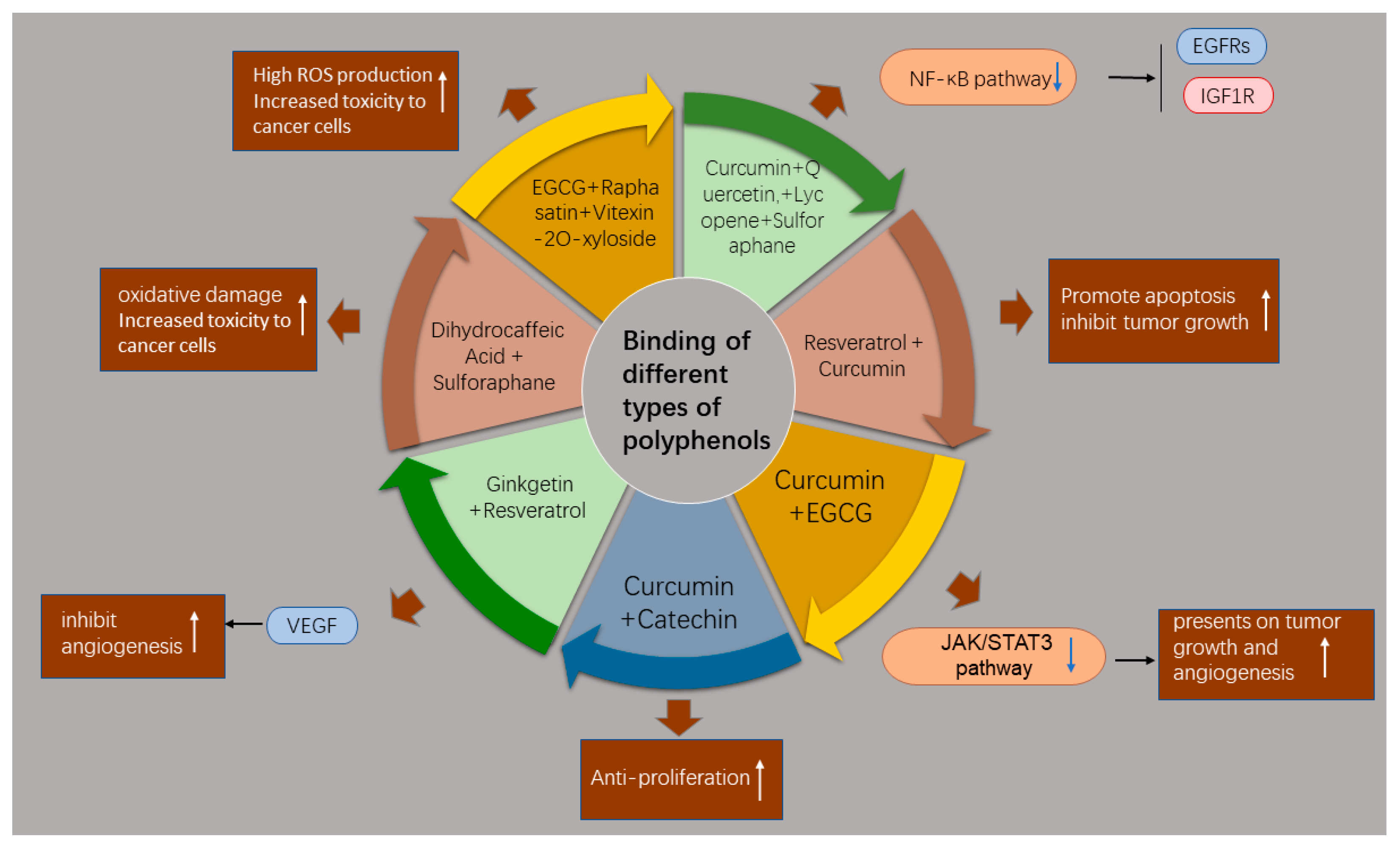 Molecules Free FullText Natural Polyphenols for Treatment of