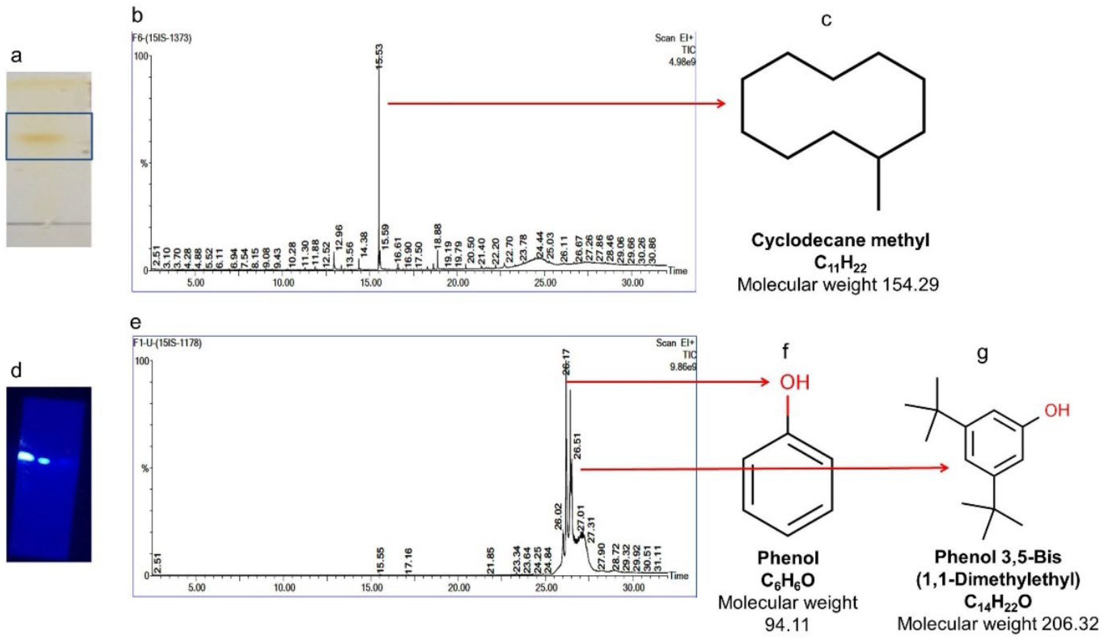 Molecules 27 08827 g009 Molecules 27 08827 g009