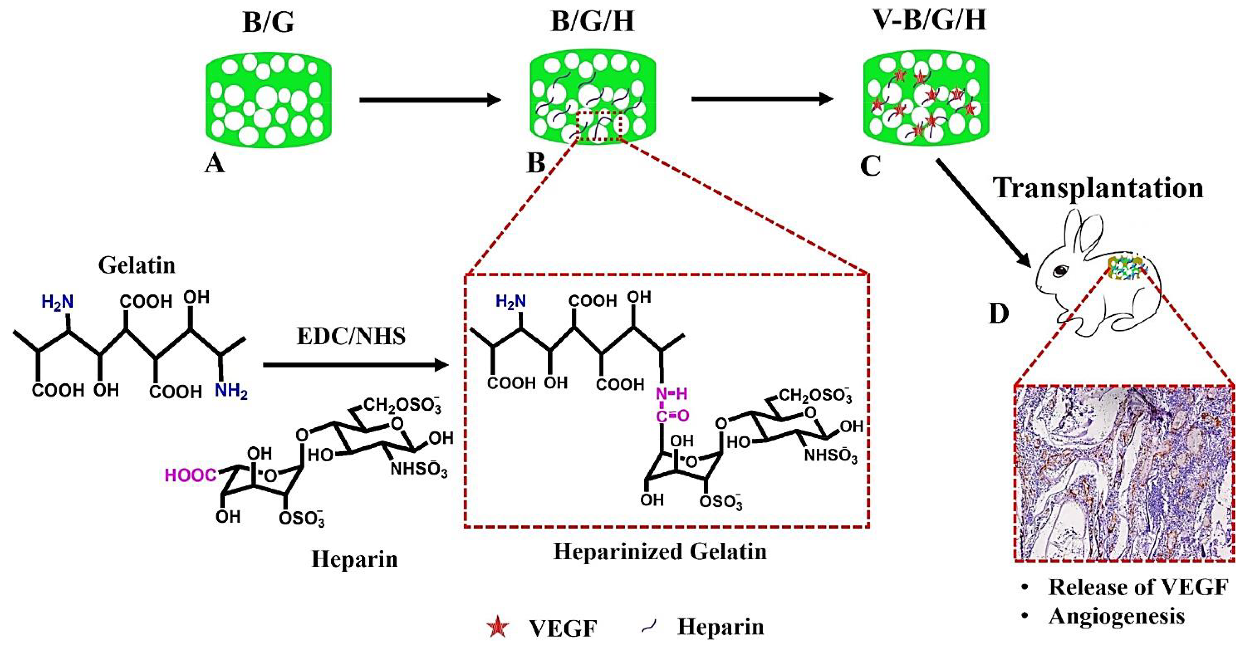Molecules 27 08830 g005 Molecules 27 08830 g005