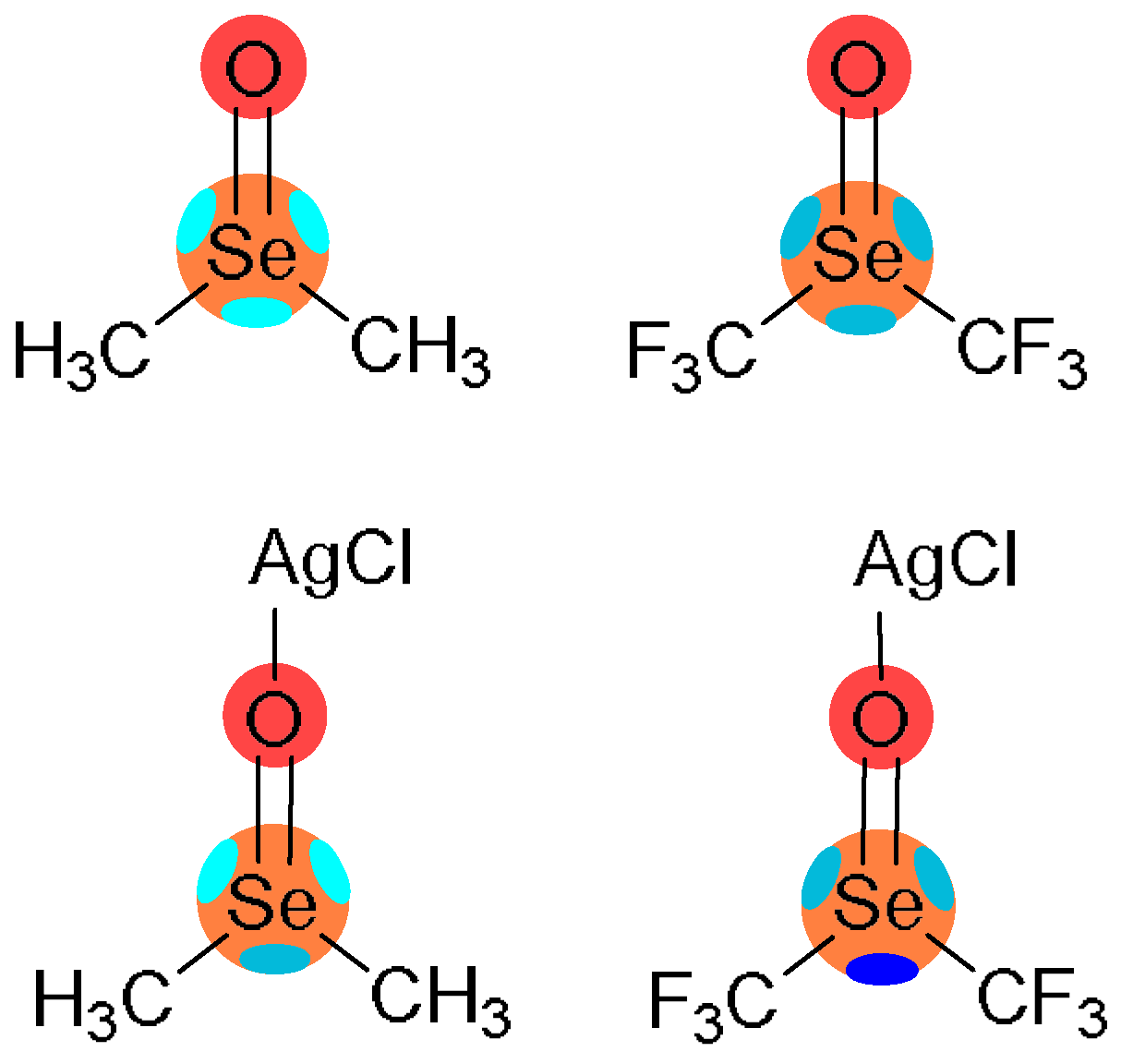 Molecules 27 08837 g001 Molecules 27 08837 g001