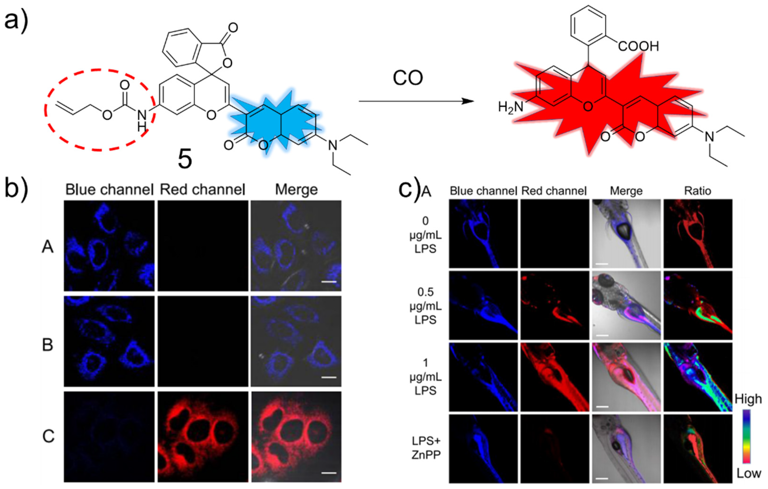 Molecules 27 08842 g005 Molecules 27 08842 g005