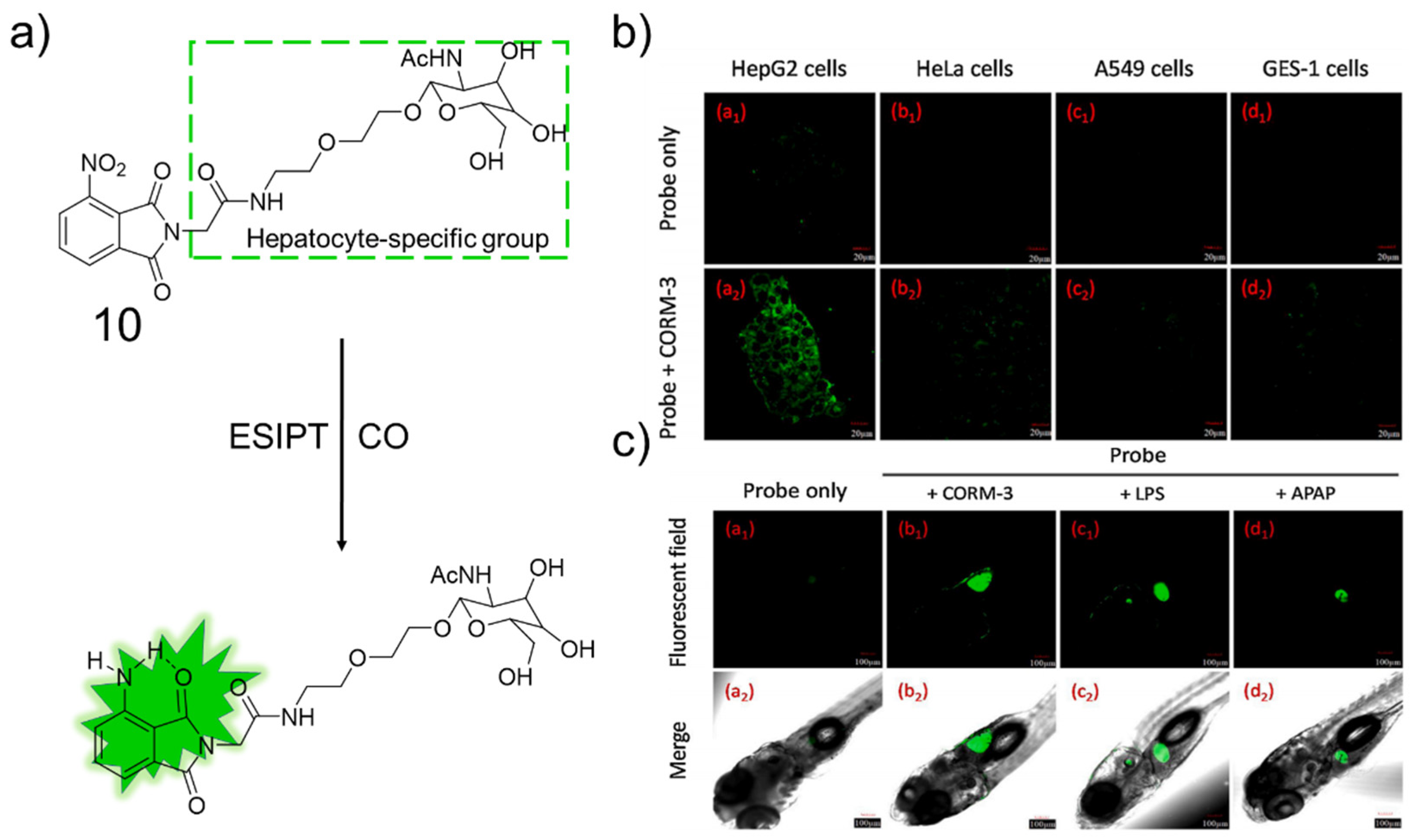 Molecules 27 08842 g007 Molecules 27 08842 g007