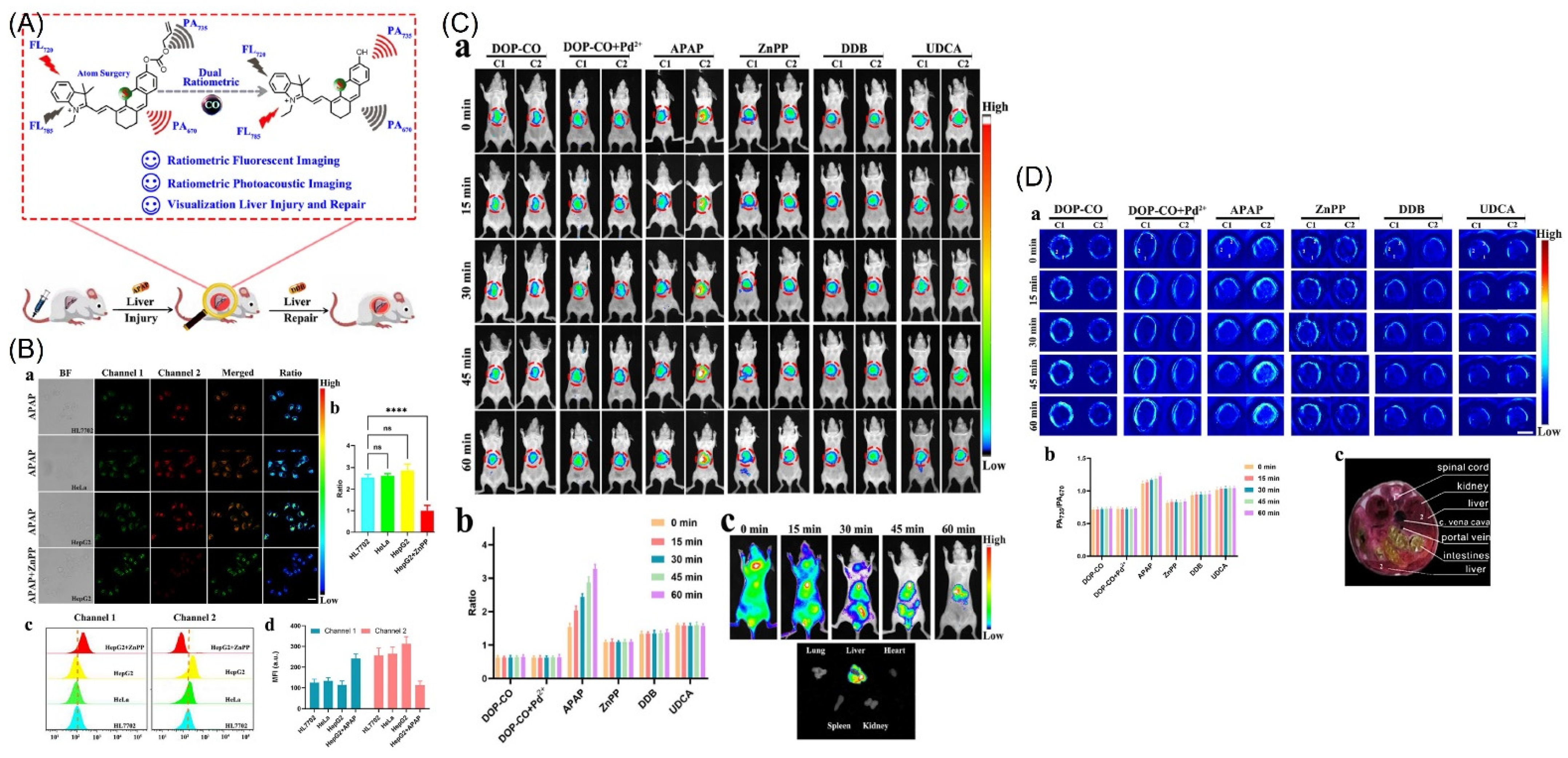 Molecules 27 08842 g011 Molecules 27 08842 g011