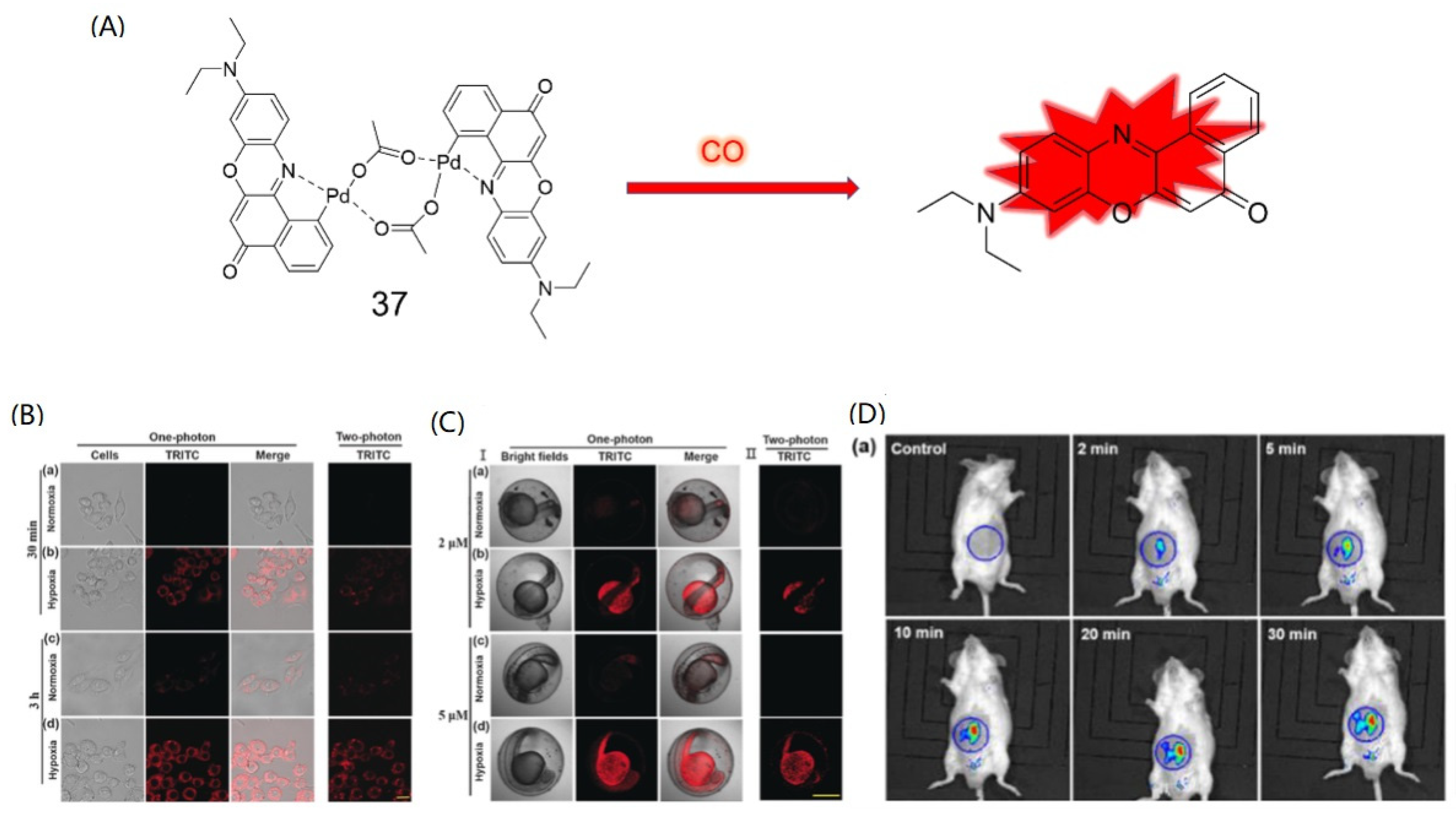 Molecules 27 08842 g014 Molecules 27 08842 g014