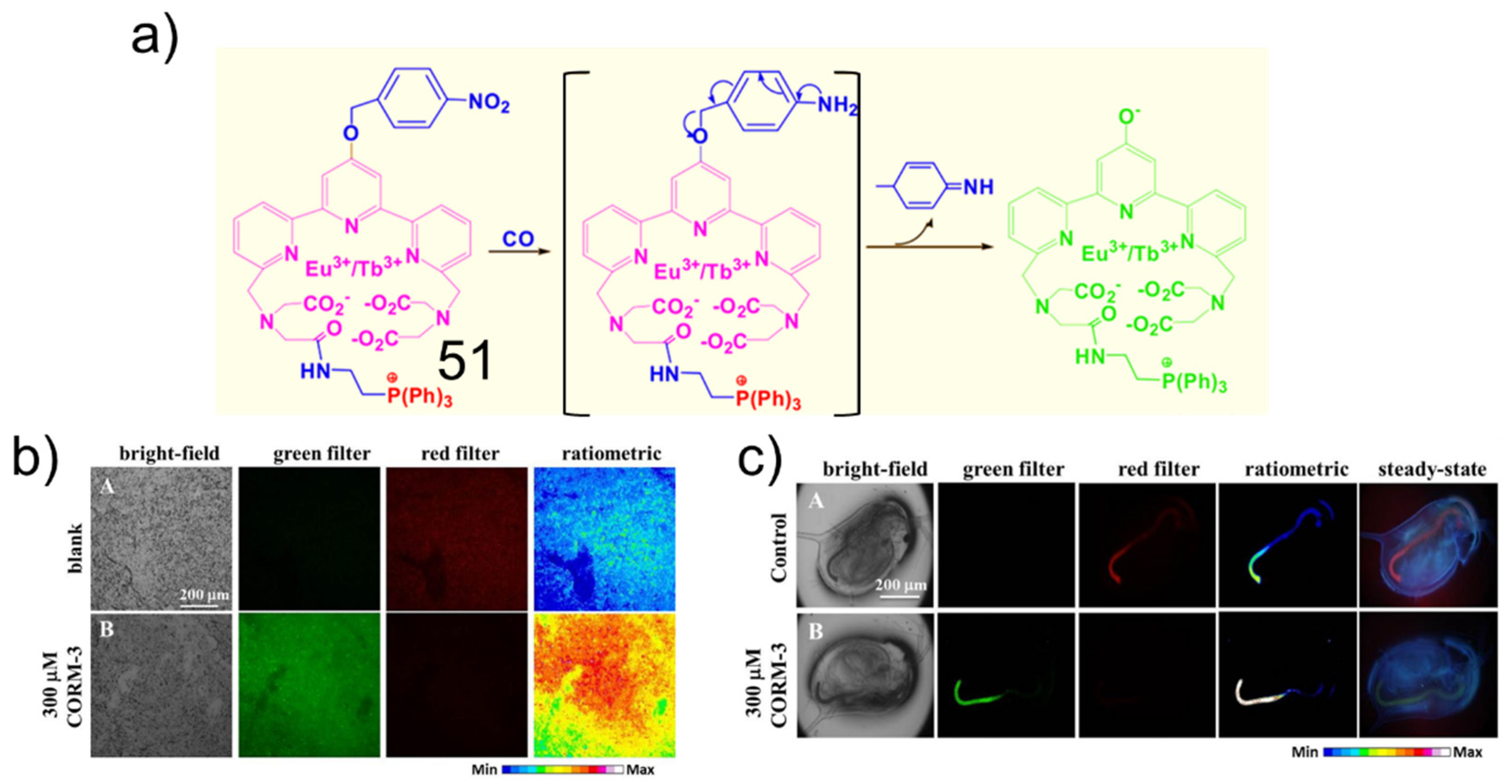 Molecules 27 08842 g018 Molecules 27 08842 g018