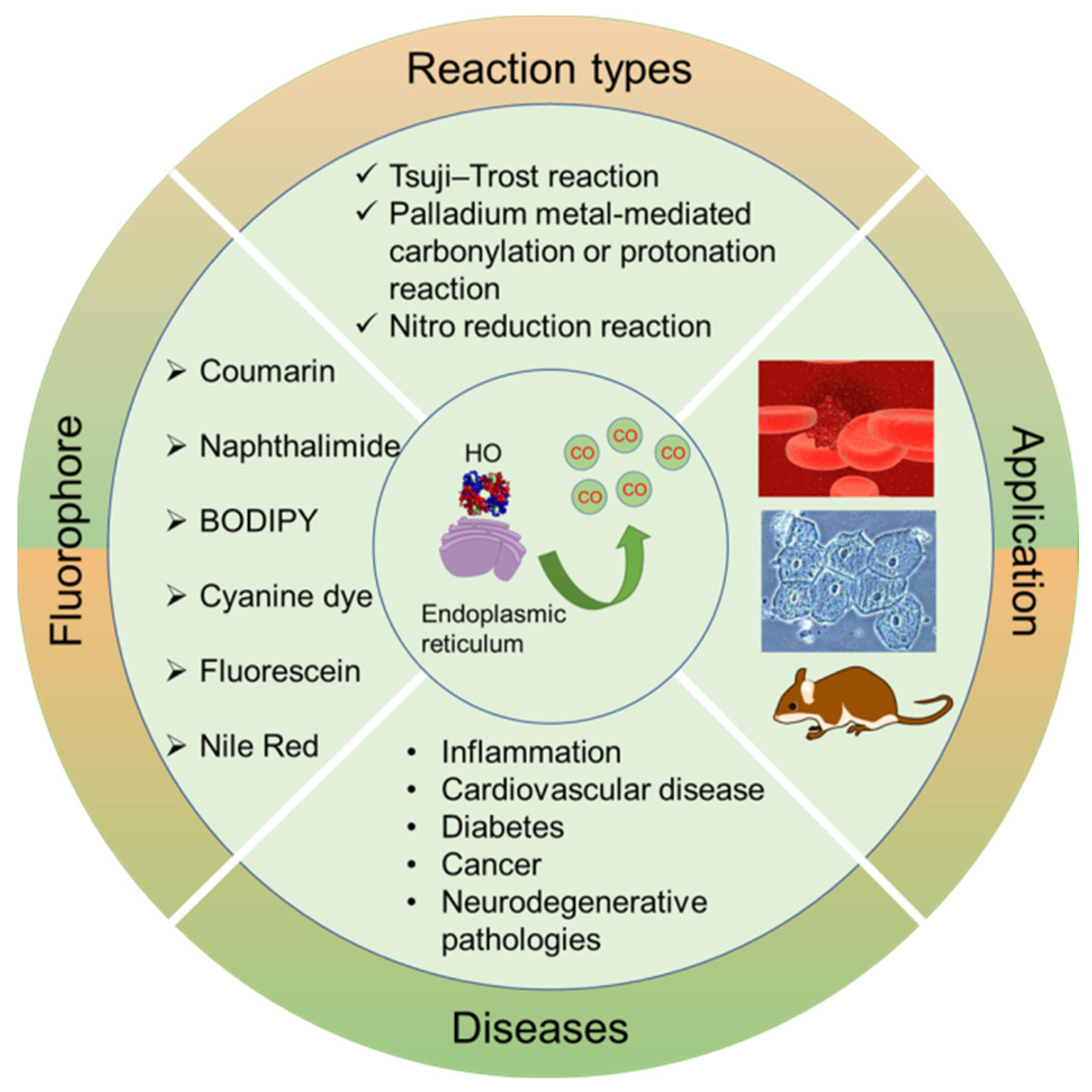 Molecules 27 08842 sch001 Molecules 27 08842 sch001