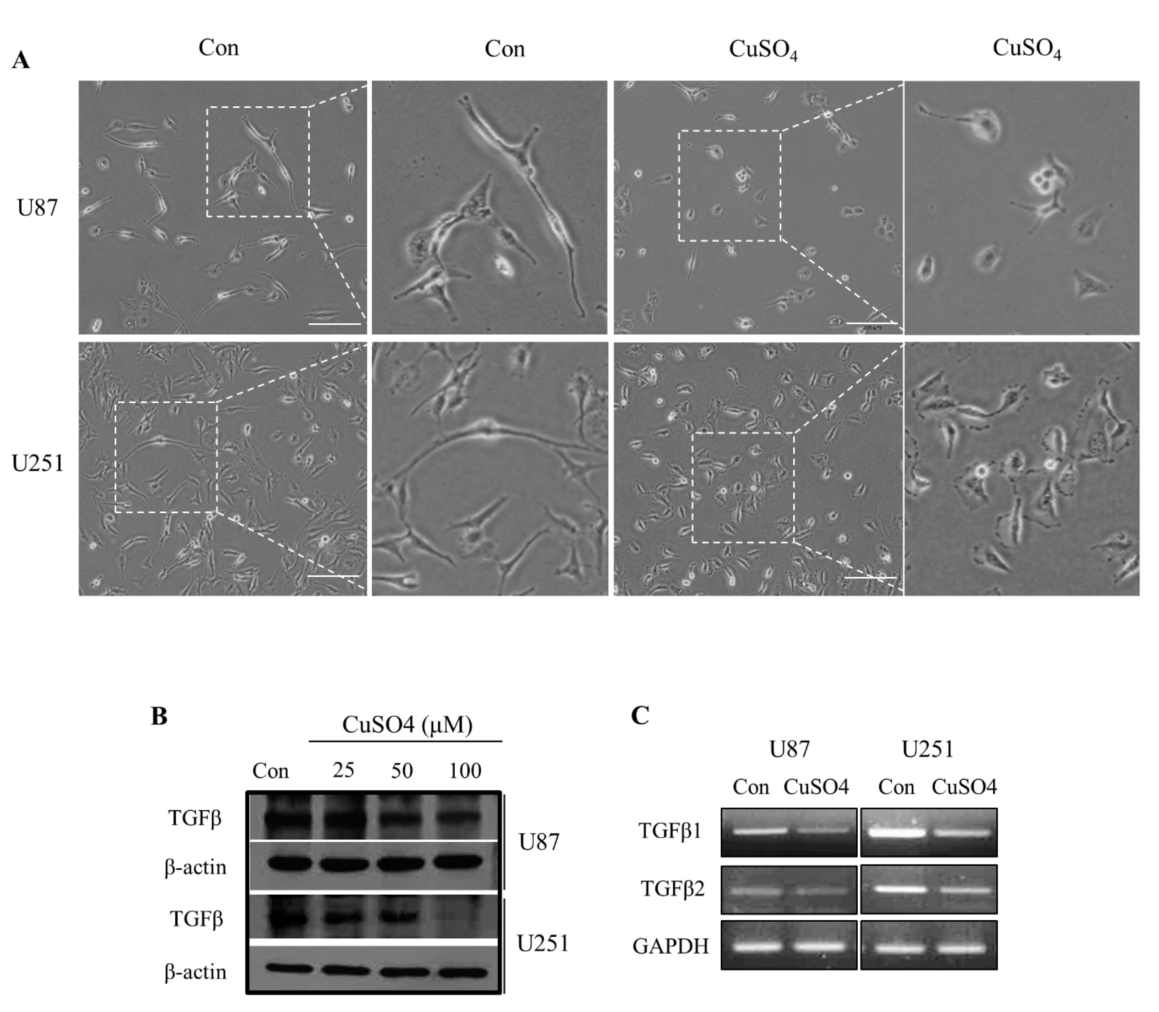 Molecules 27 08851 g001 Molecules 27 08851 g001