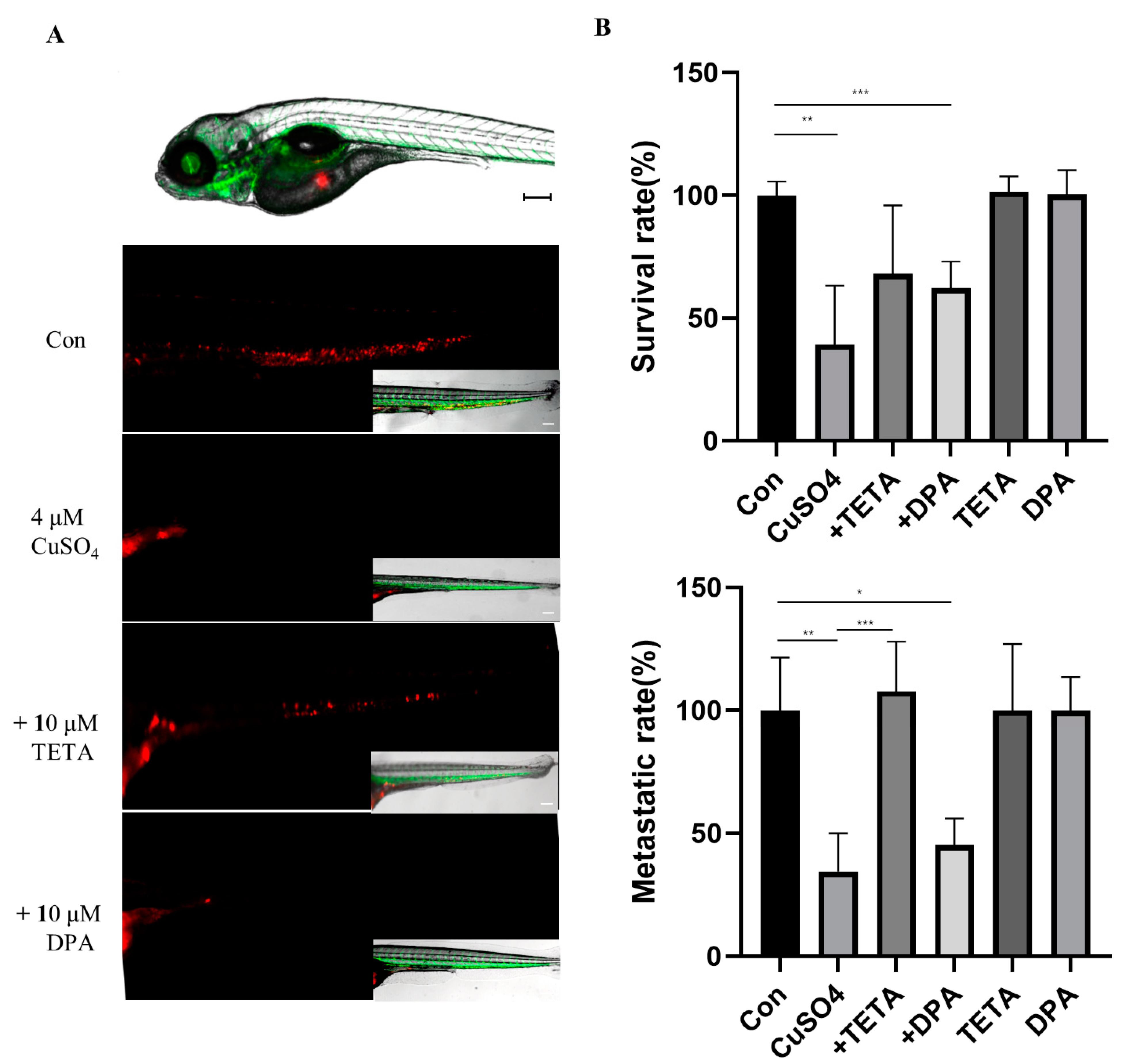 Molecules 27 08851 g005 Molecules 27 08851 g005