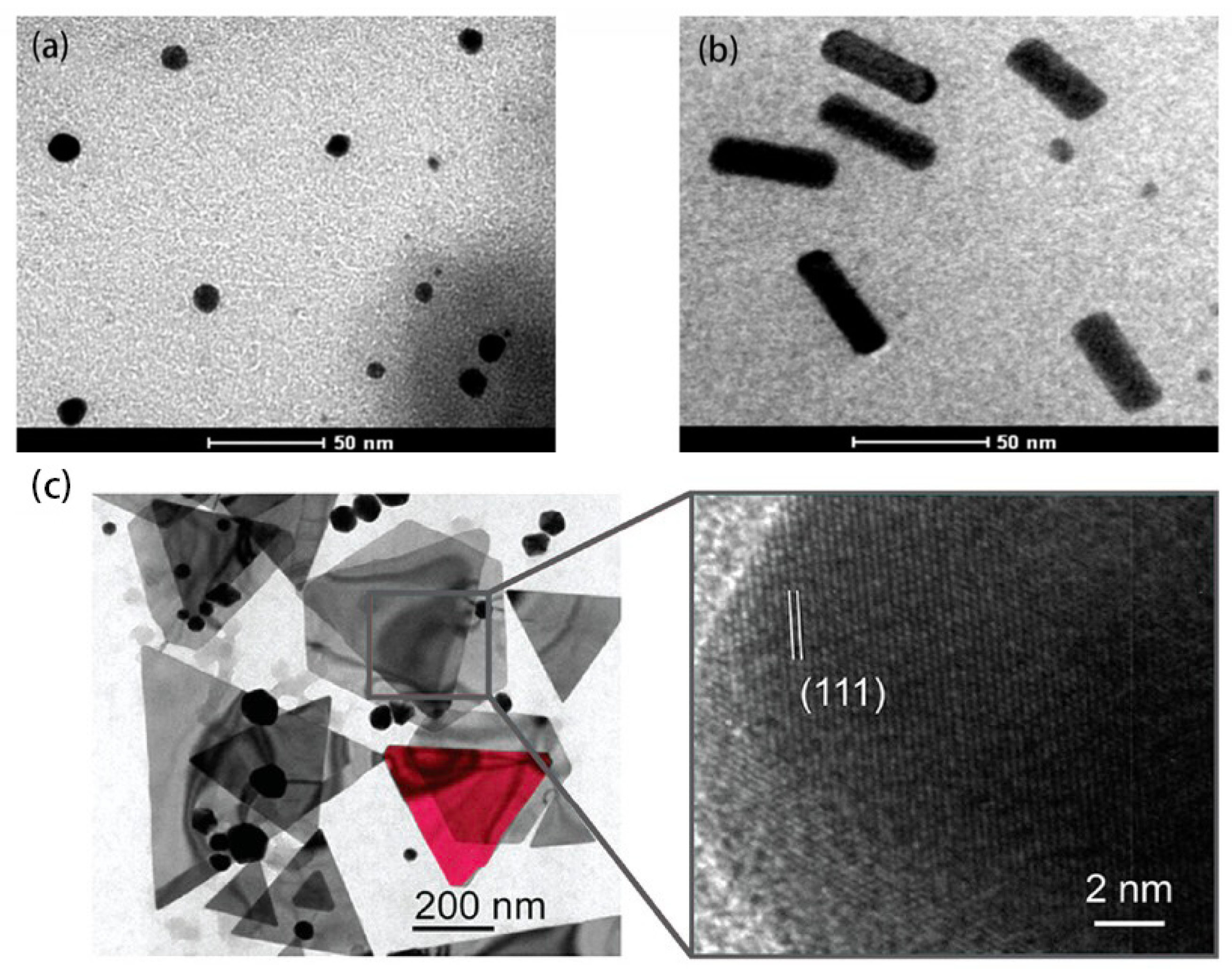 Molecules 27 08854 g001