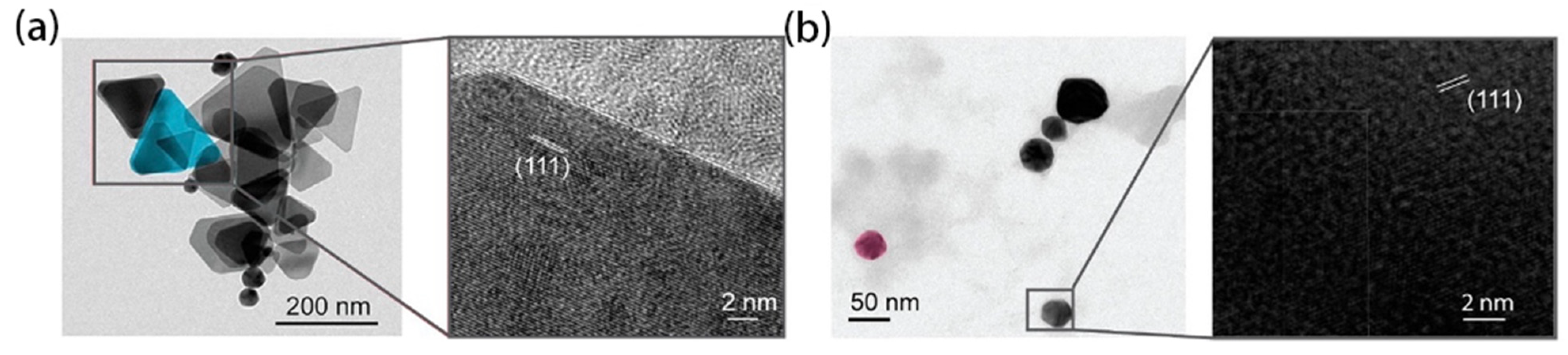 Molecules 27 08854 g002