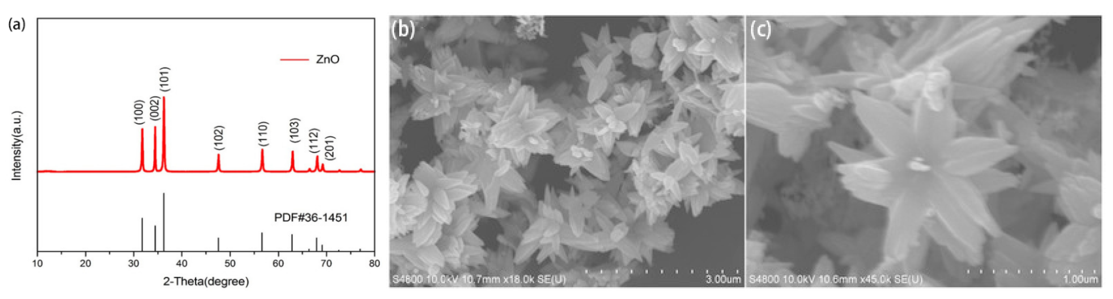 Molecules 27 08854 g005