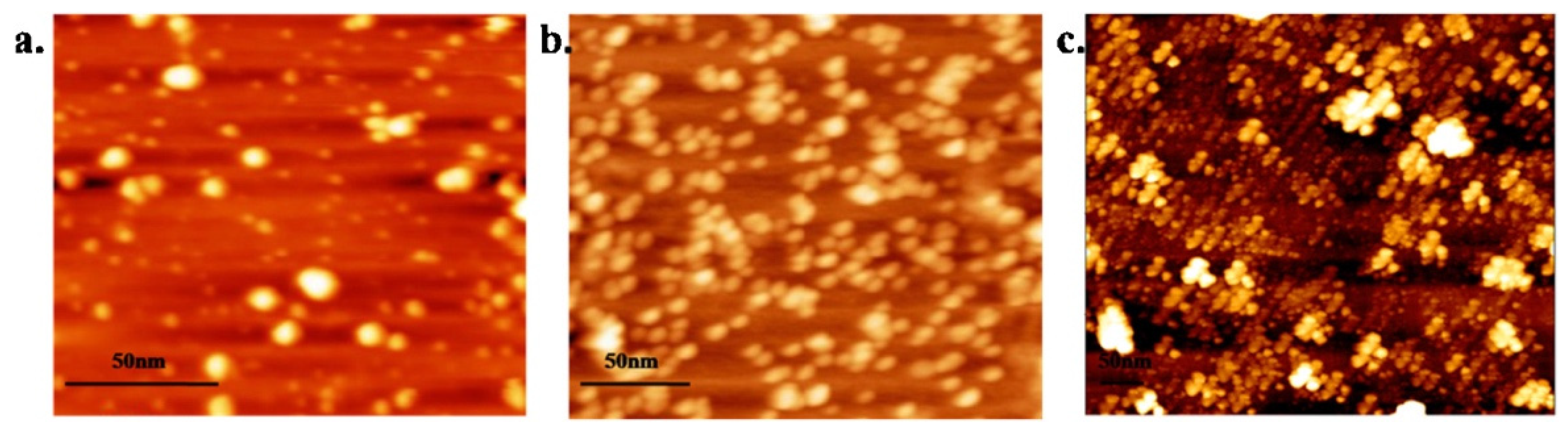Molecules 27 08854 g006