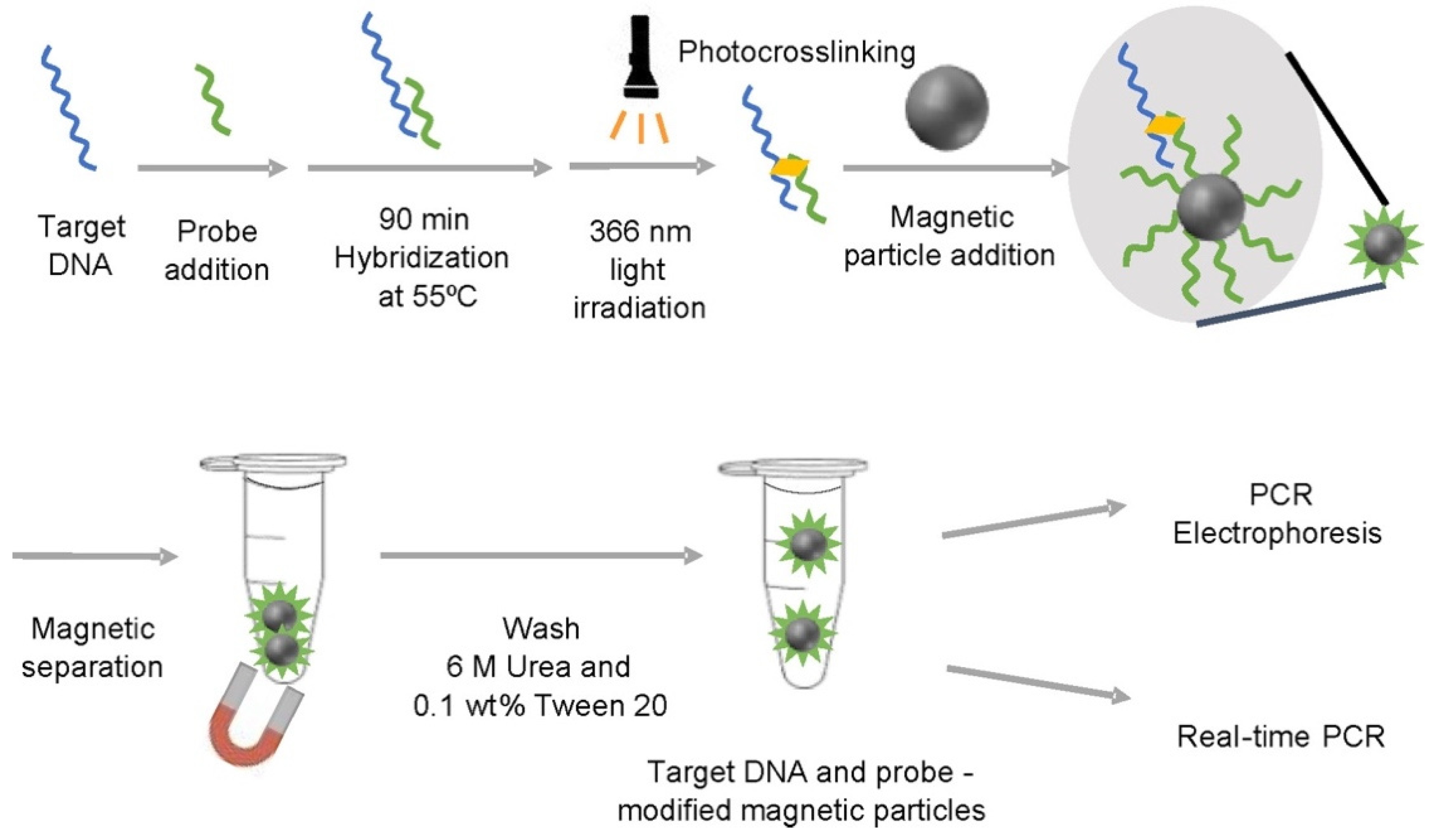 Molecules 27 08854 g007